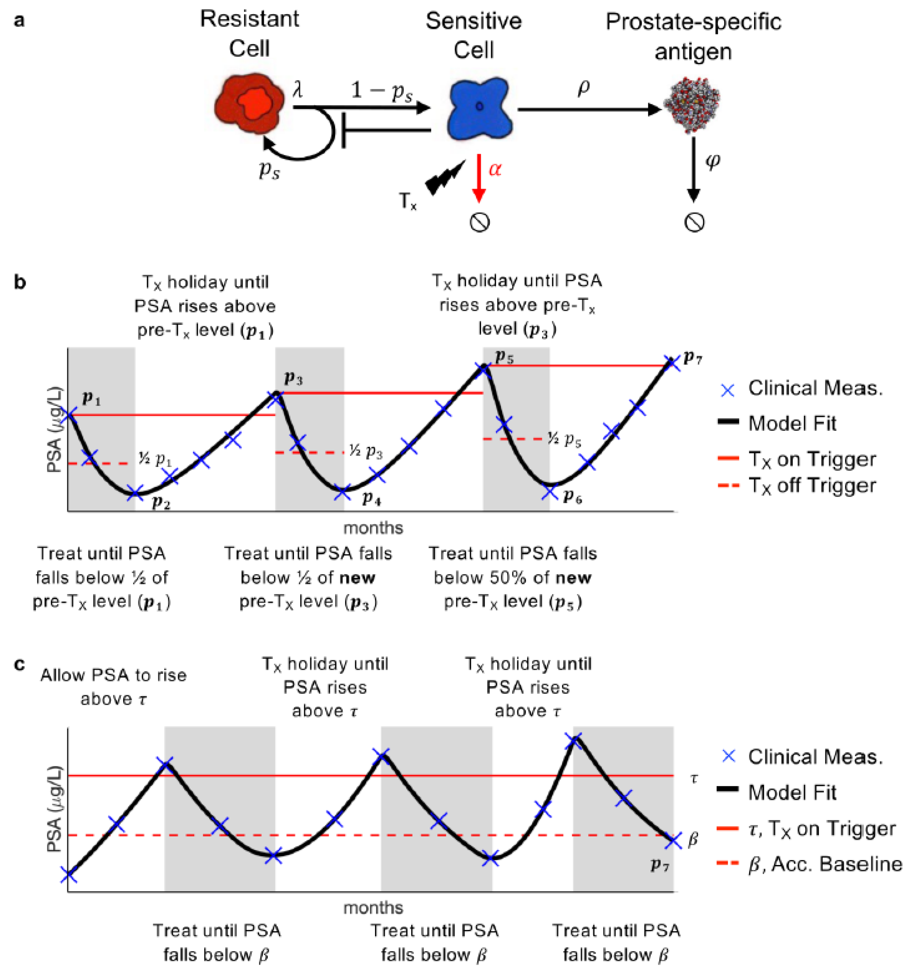 Cancers 14 05319 g001 Cancers 14 05319 g001