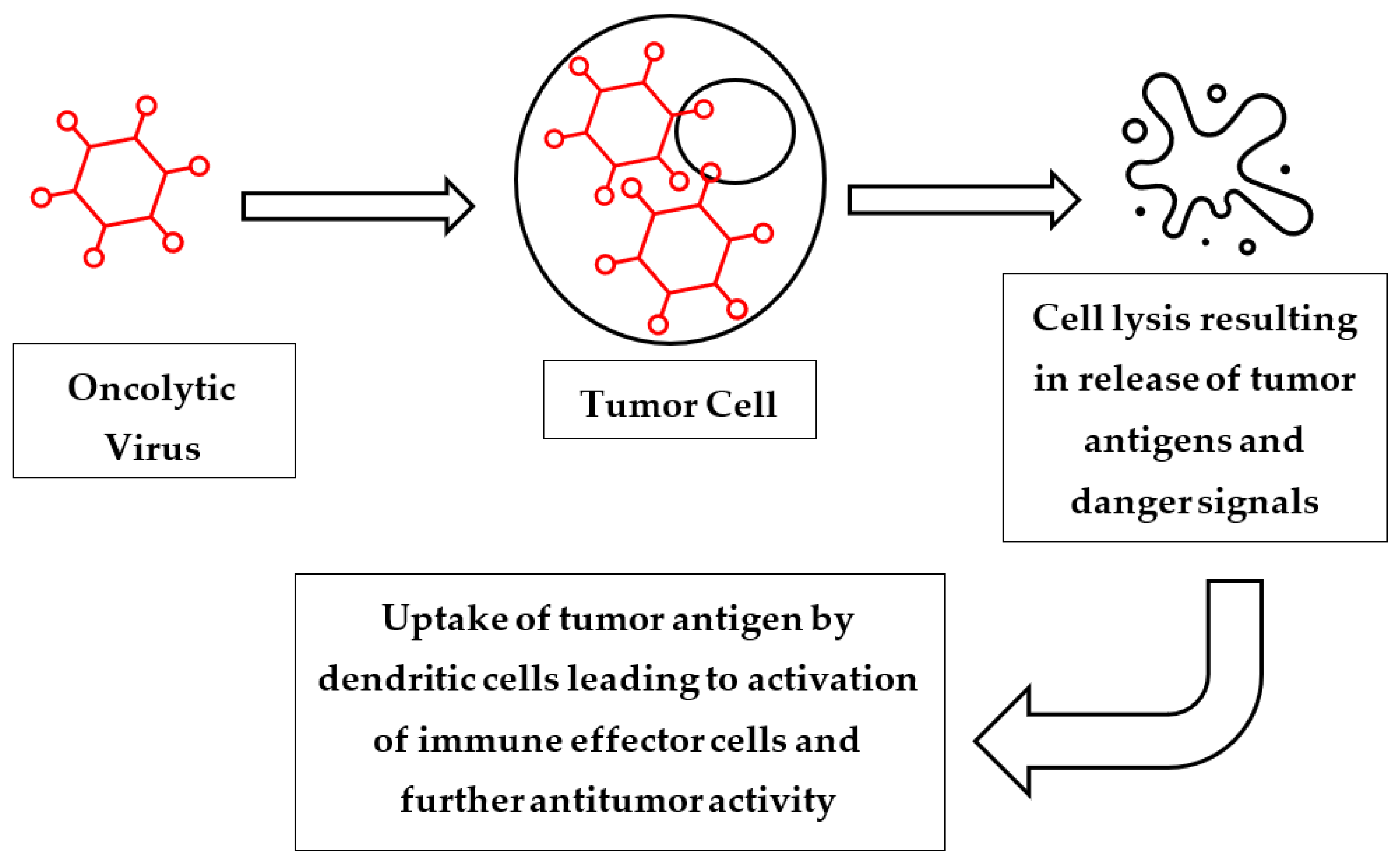 Cancers 14 05325 g002