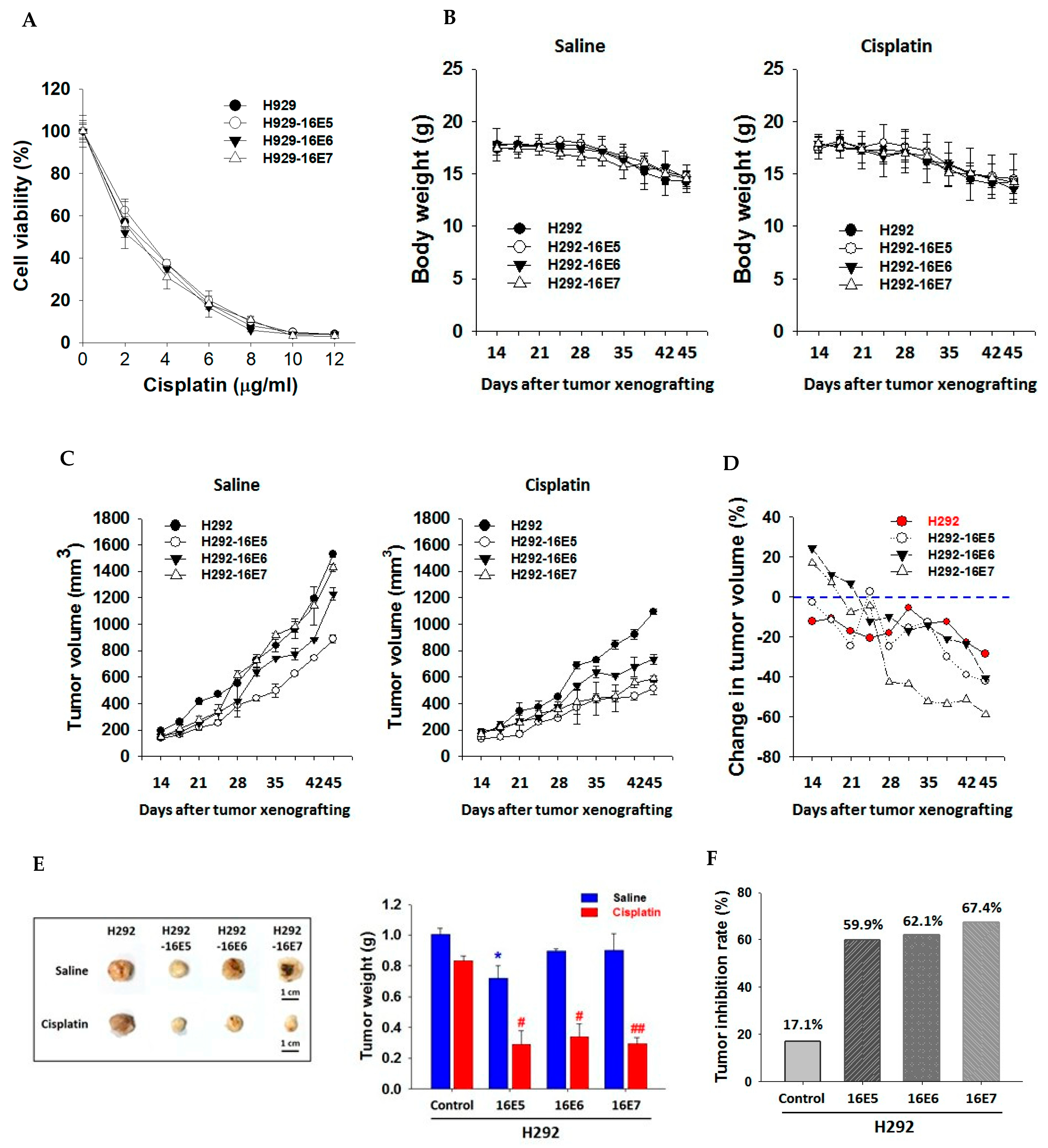 Cancers 14 05333 g003 Cancers 14 05333 g003
