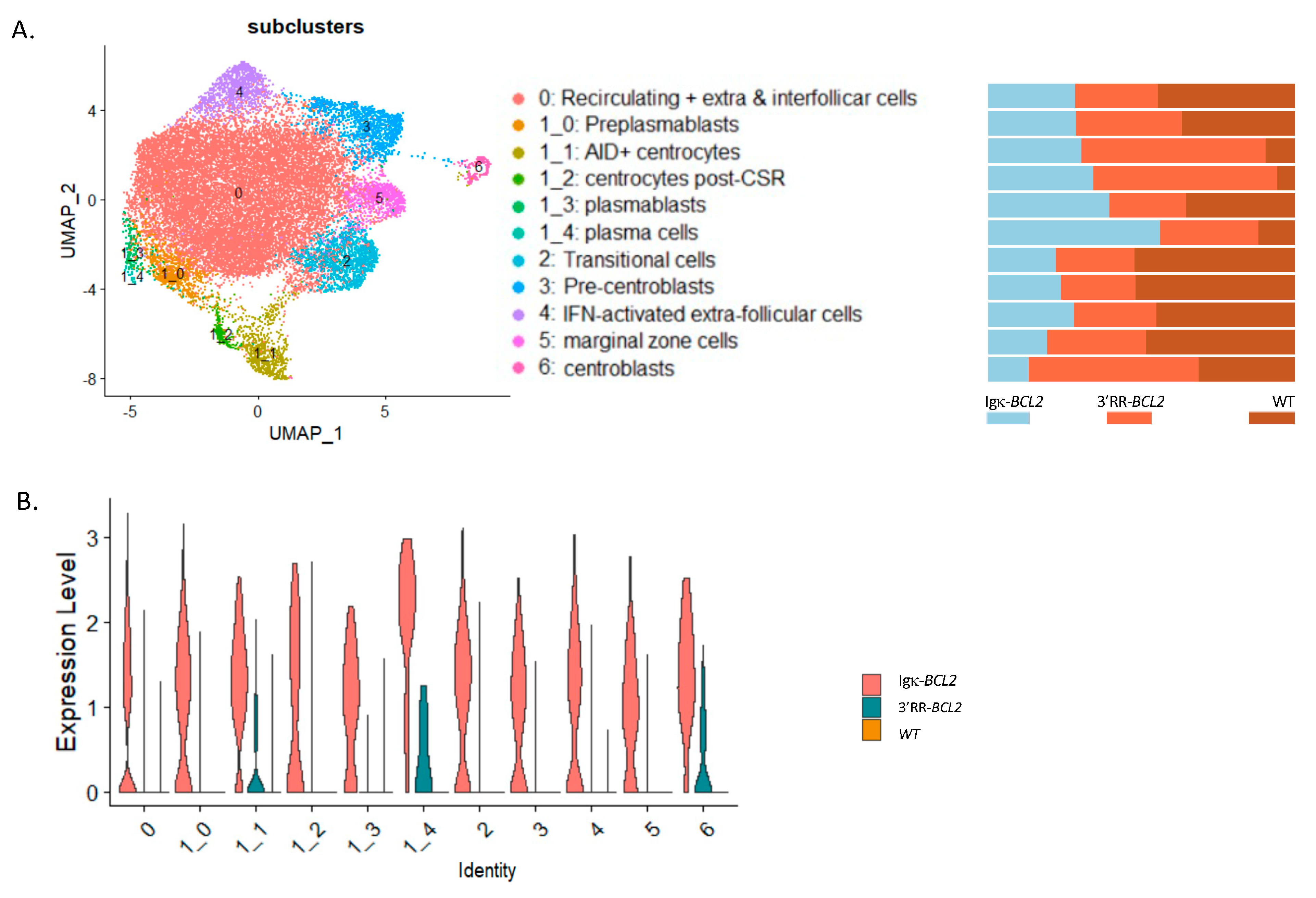 Cancers 14 05337 g005 Cancers 14 05337 g005