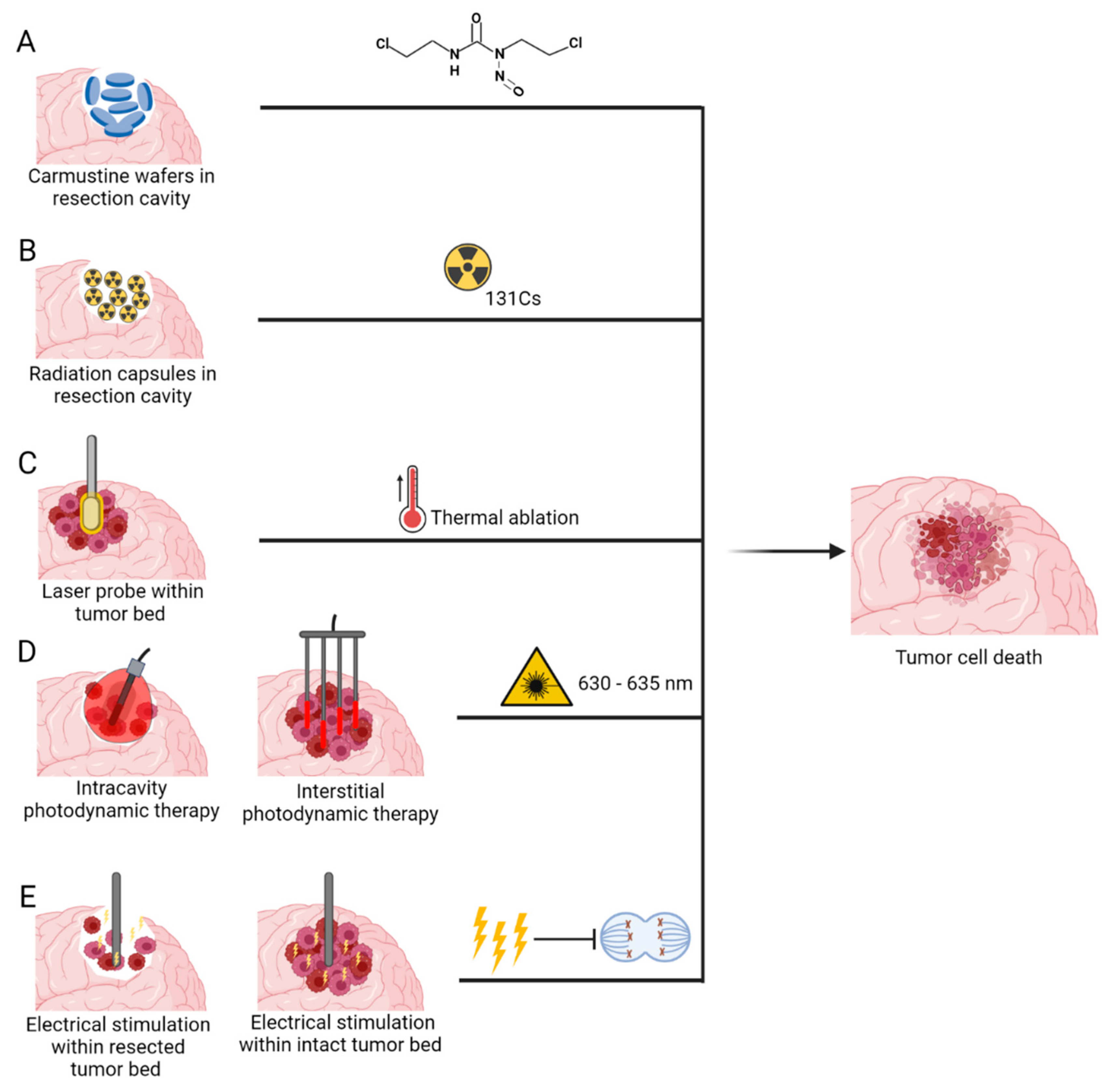 Cancers 14 05341 g005 Cancers 14 05341 g005