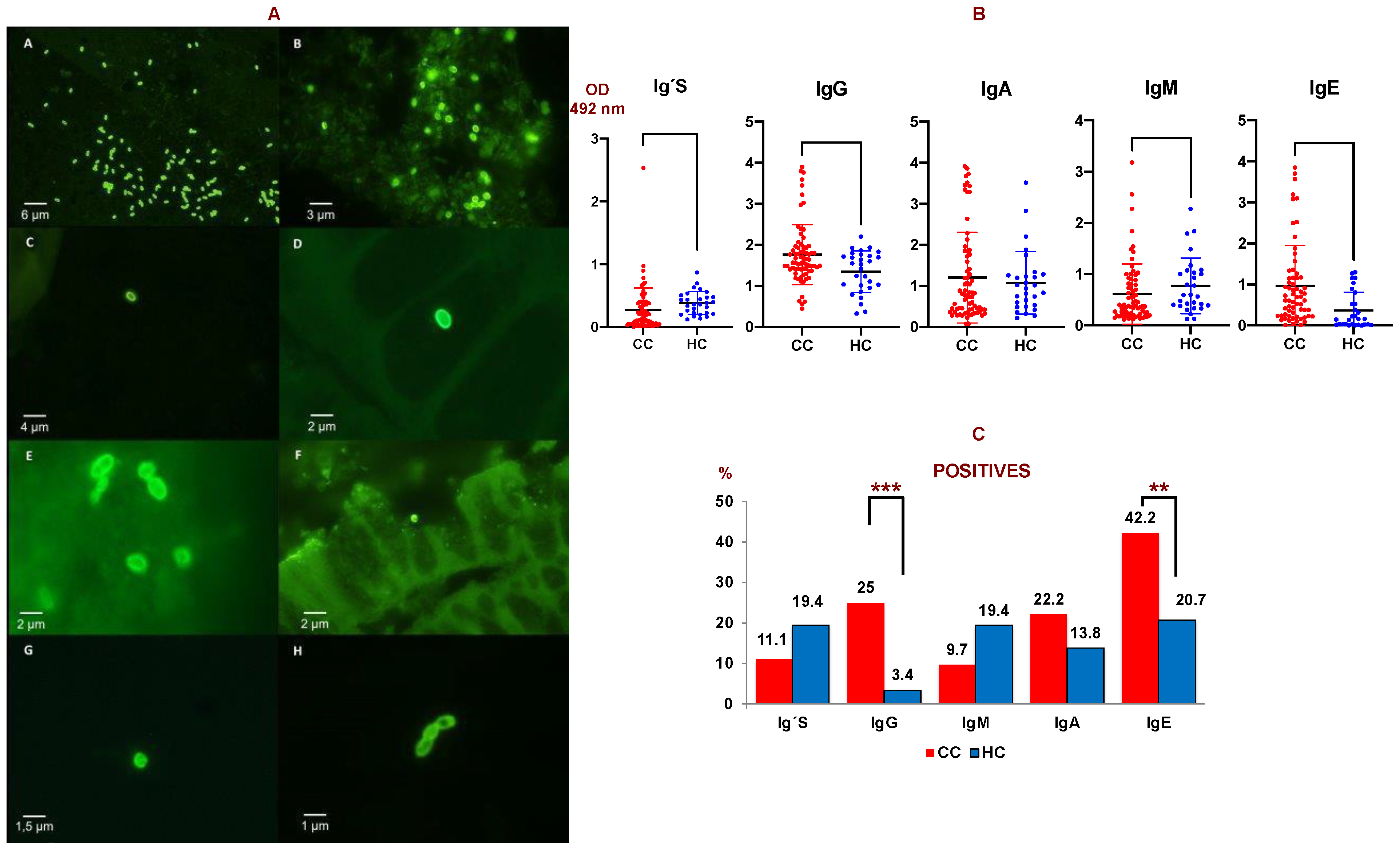Cancers 14 05342 g001 Cancers 14 05342 g001
