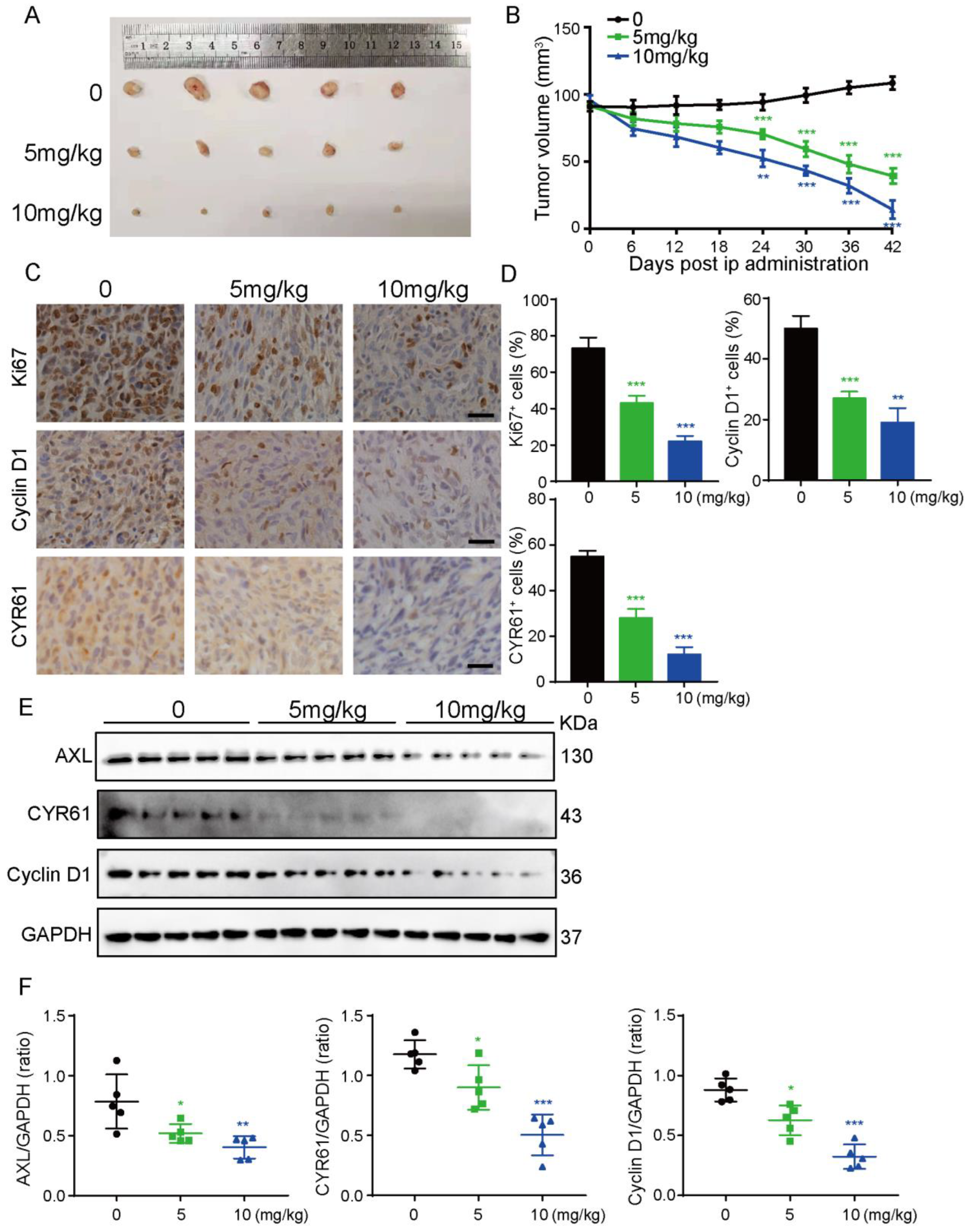 Cancers 14 05343 g006 Cancers 14 05343 g006