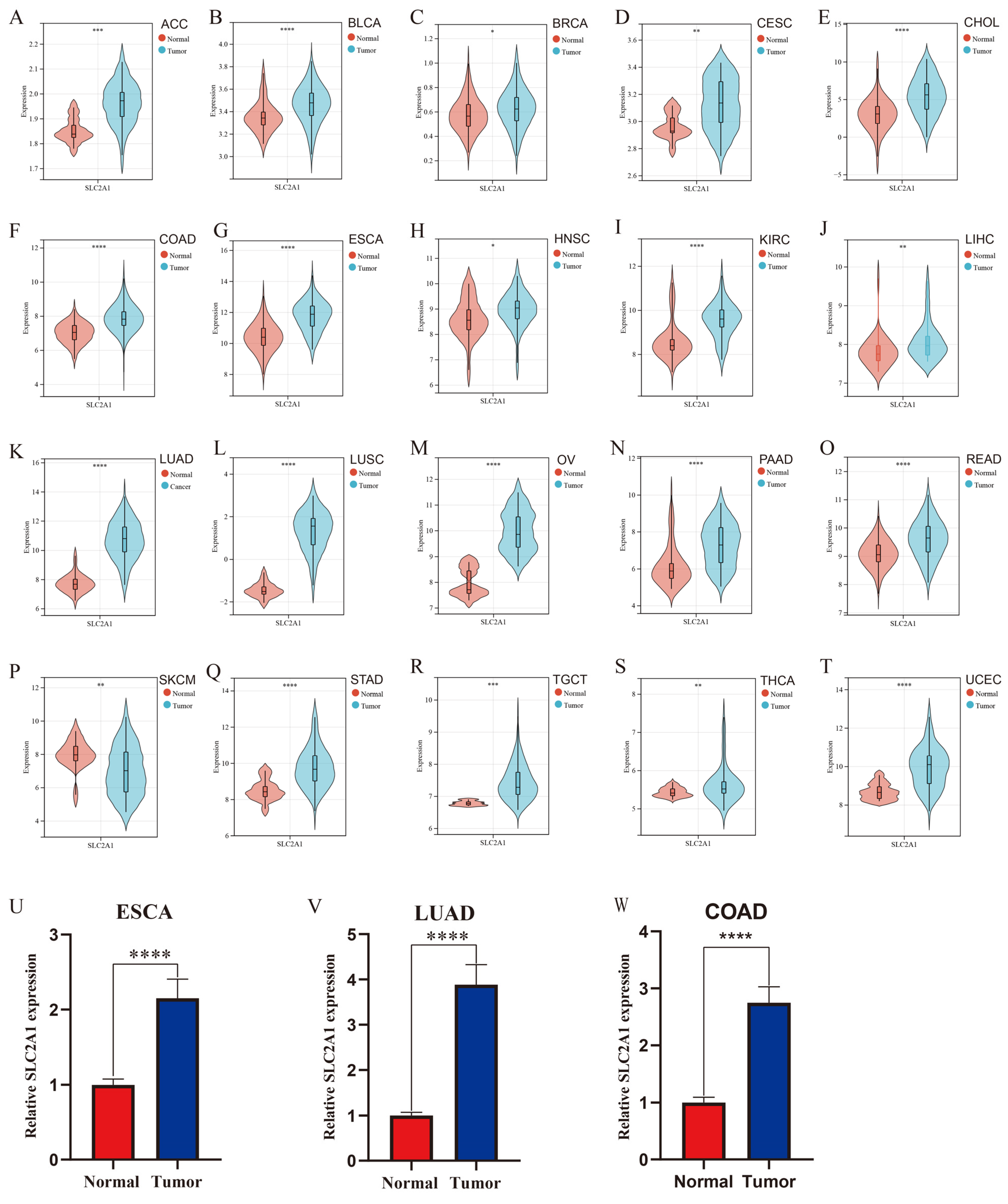 Cancers 14 05344 g002 Cancers 14 05344 g002