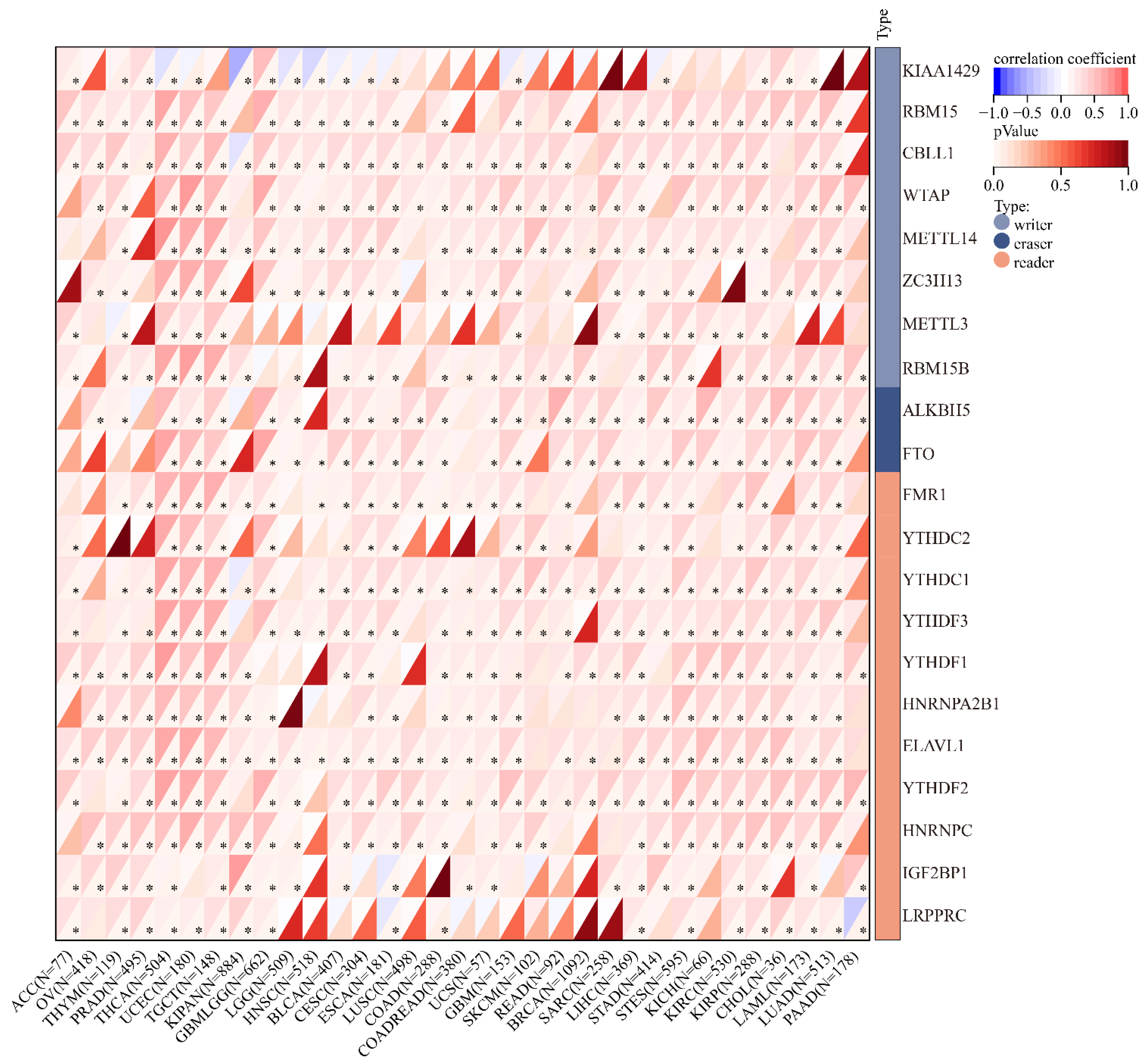 Cancers 14 05344 g010 Cancers 14 05344 g010