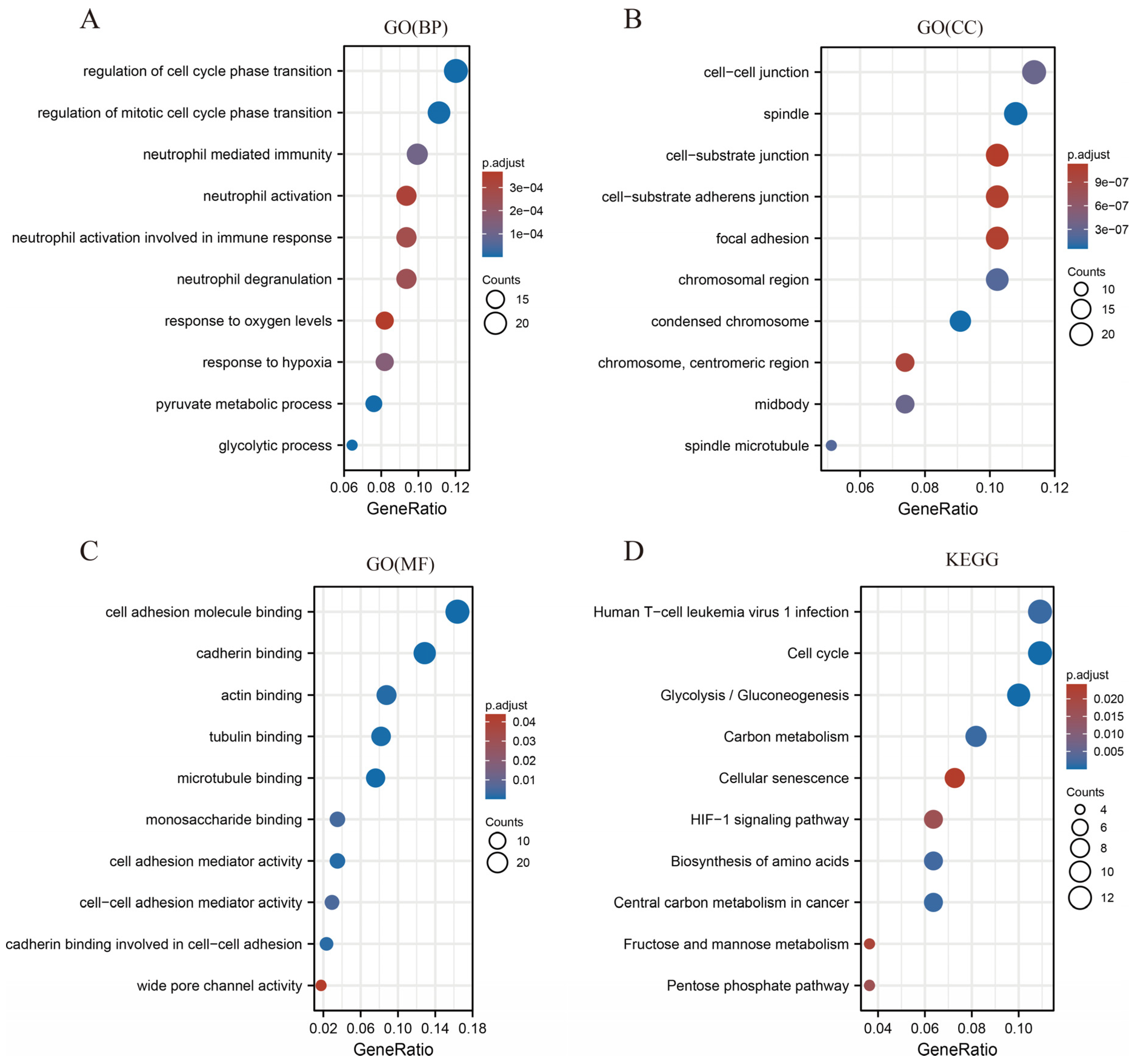Cancers 14 05344 g011 Cancers 14 05344 g011