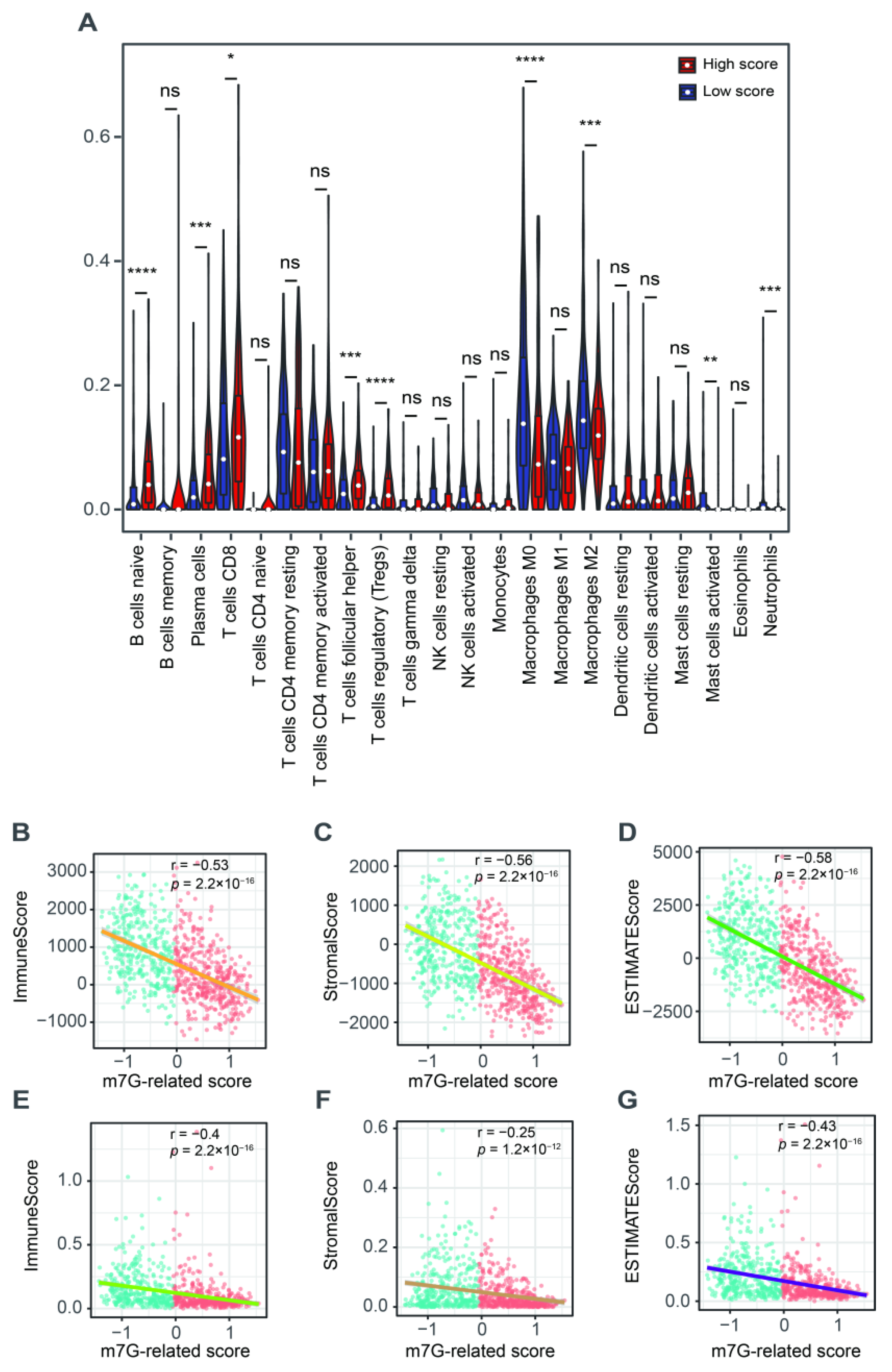 Cancers 14 05346 g006 Cancers 14 05346 g006