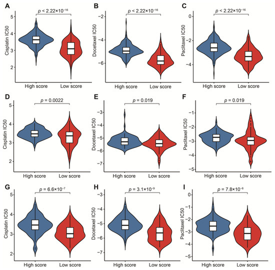 たけだ Synthesis and Health Effects of Phenolic Compounds: A Focus