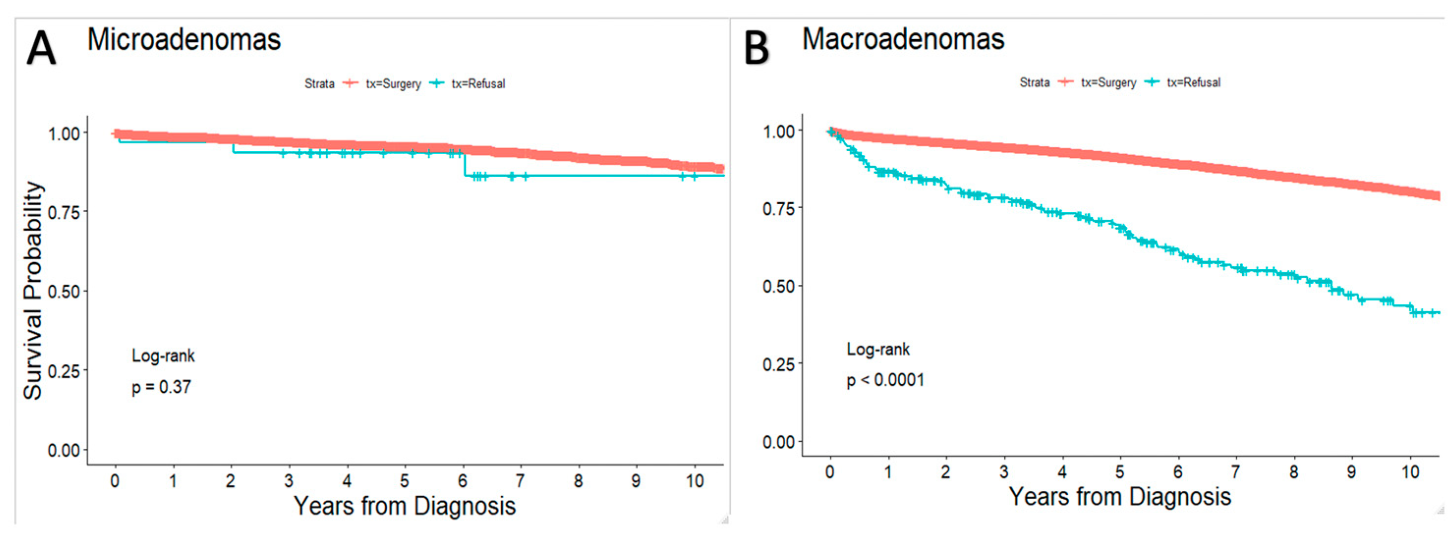 Cancers 14 05348 g001