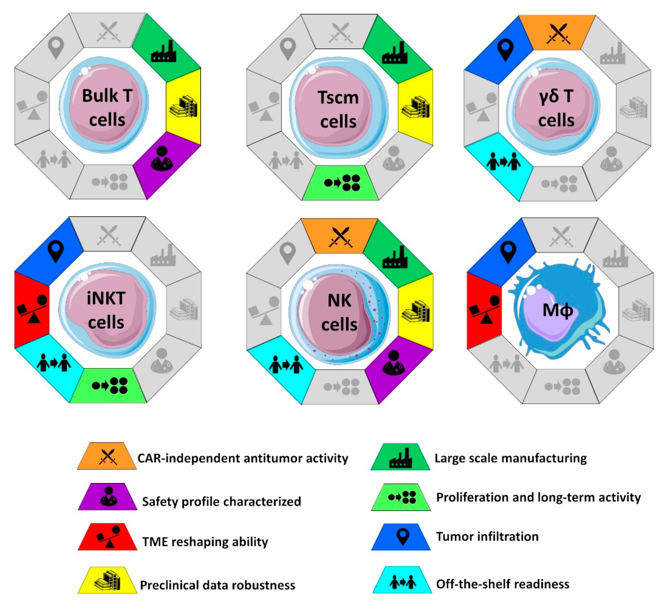 Cancers 14 05351 g001