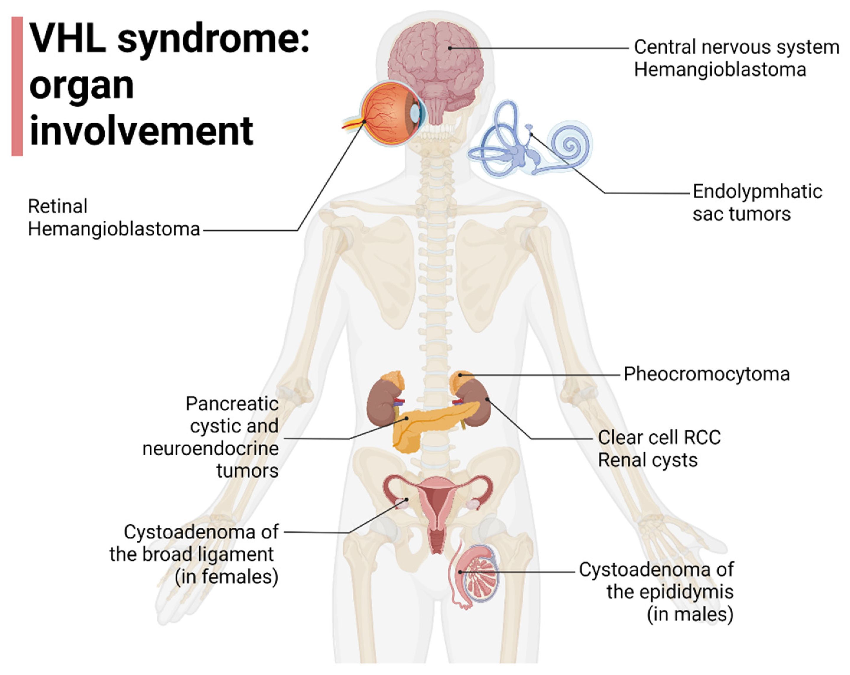 Cancers 14 05352 g001