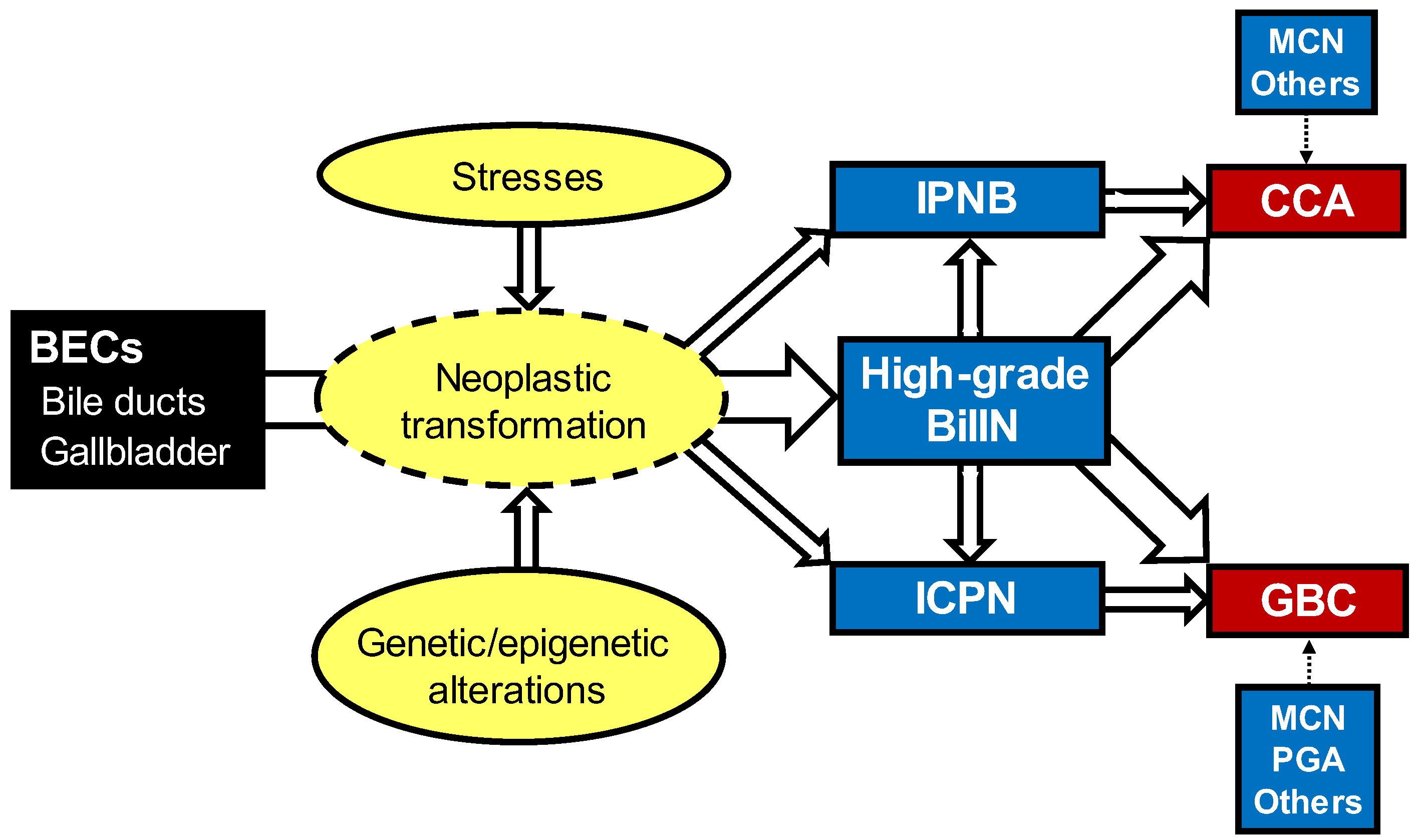 Cancers 14 05358 g004 Cancers 14 05358 g004