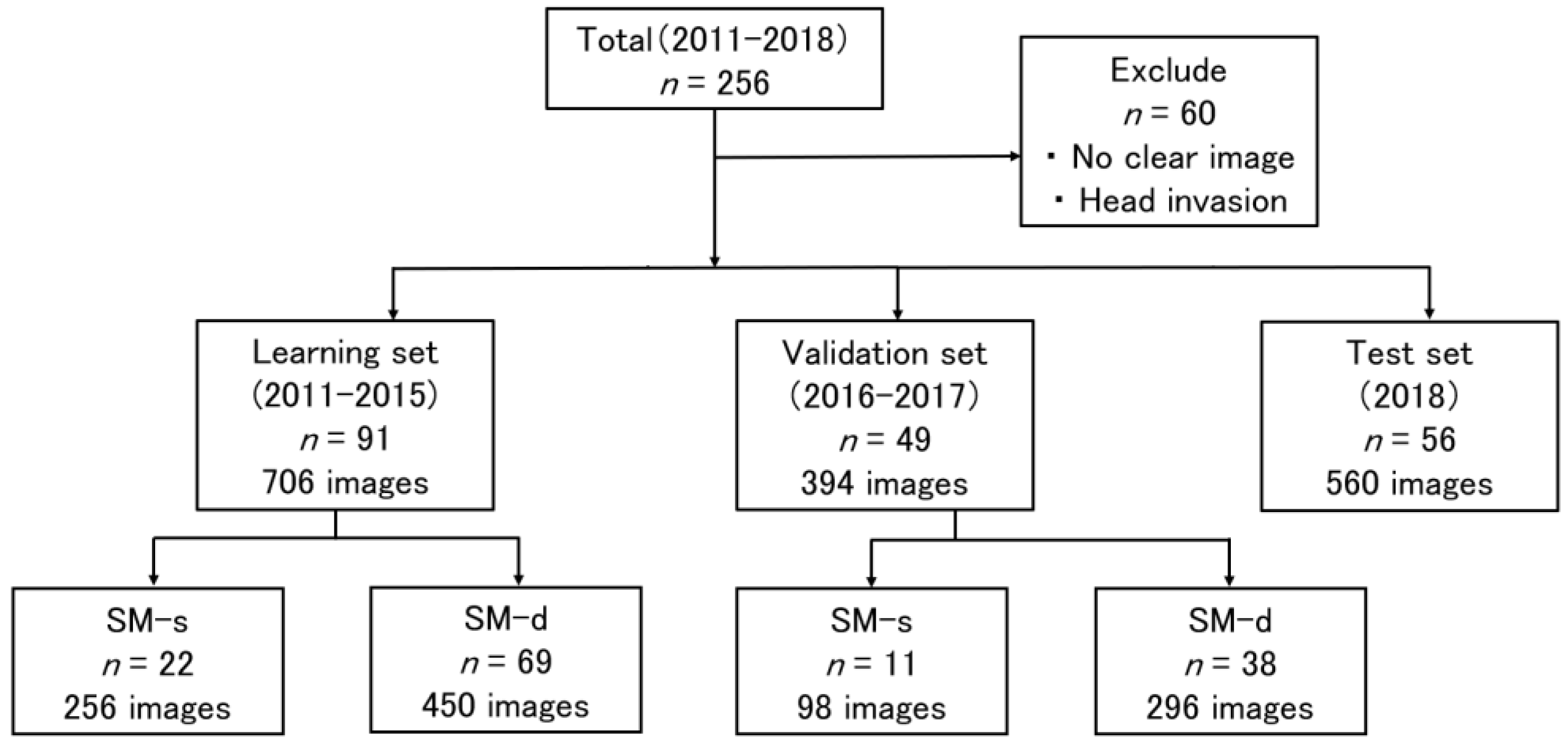 Cancers 14 05361 g001 Cancers 14 05361 g001