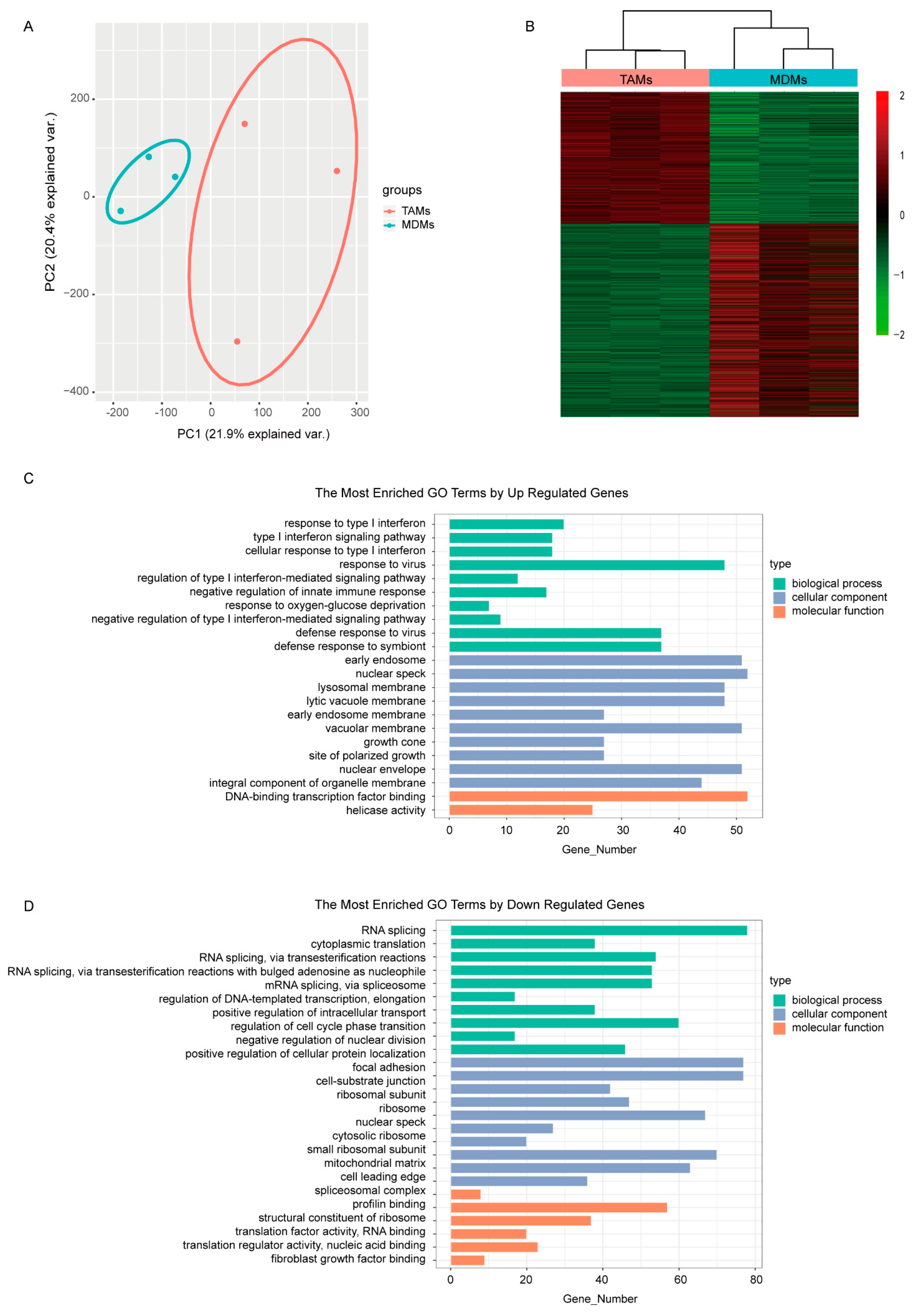 Cancers 14 05364 g001 Cancers 14 05364 g001
