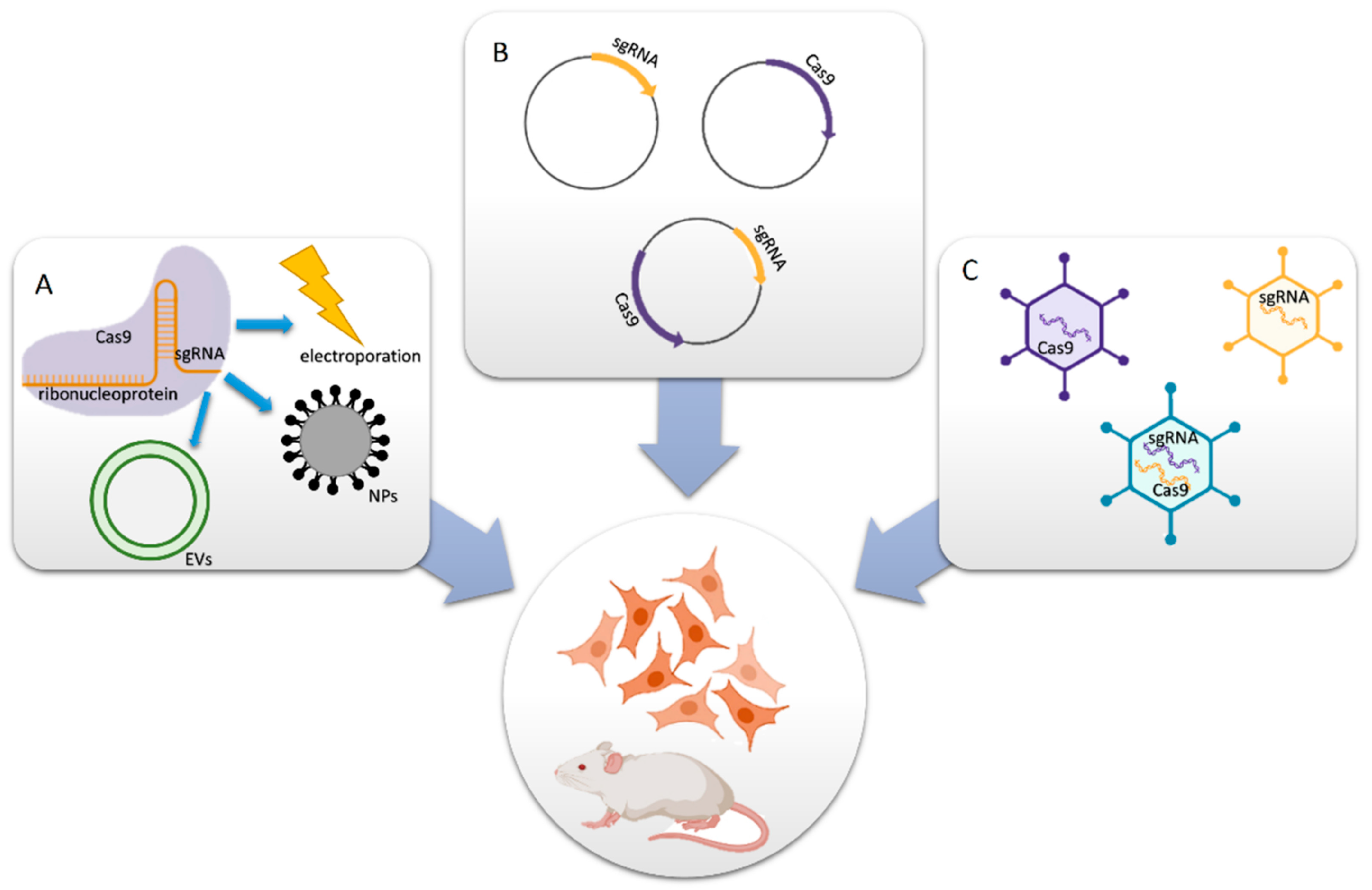 Cancers 14 05366 g001