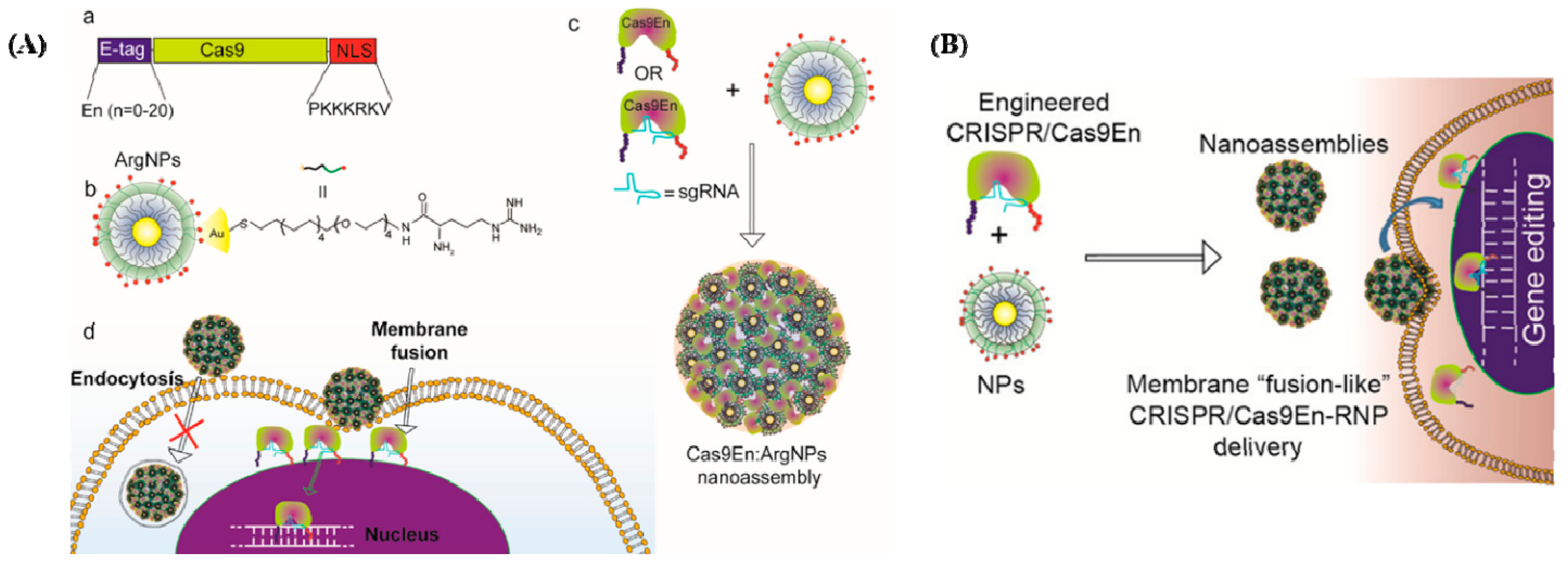 Cancers 14 05366 g002