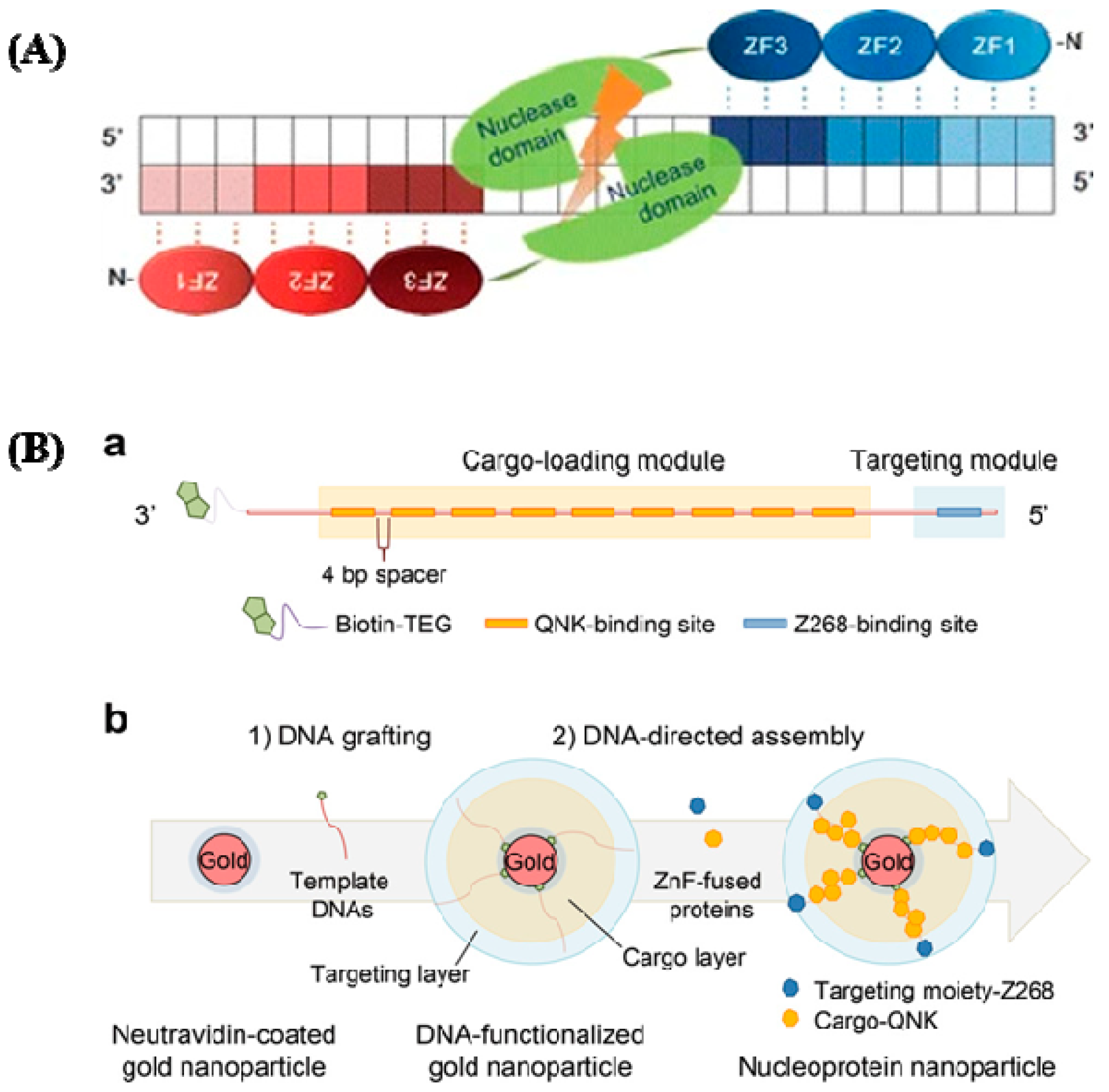 Cancers 14 05366 g003