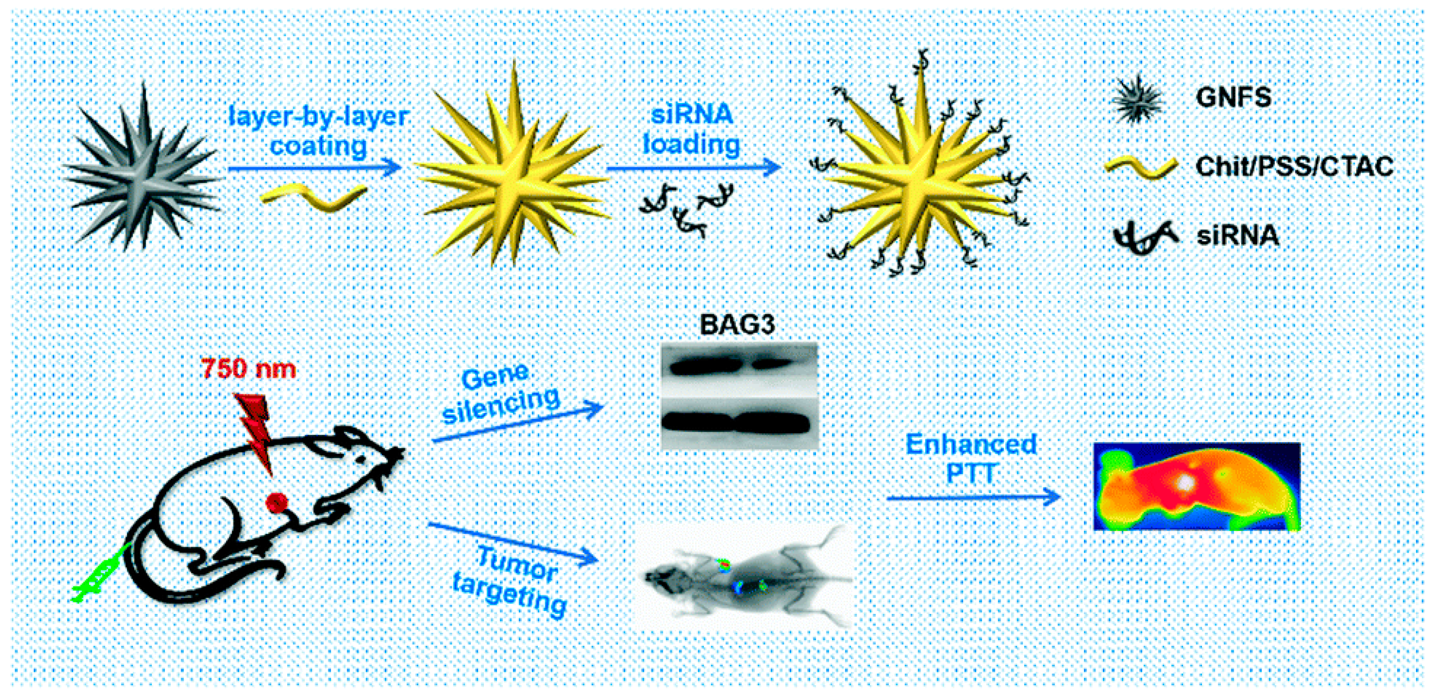 Cancers 14 05366 g005