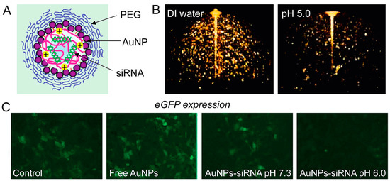 glutathione-s-transferase normal values The pH stability of the purified glutathione S-transferase (GST)