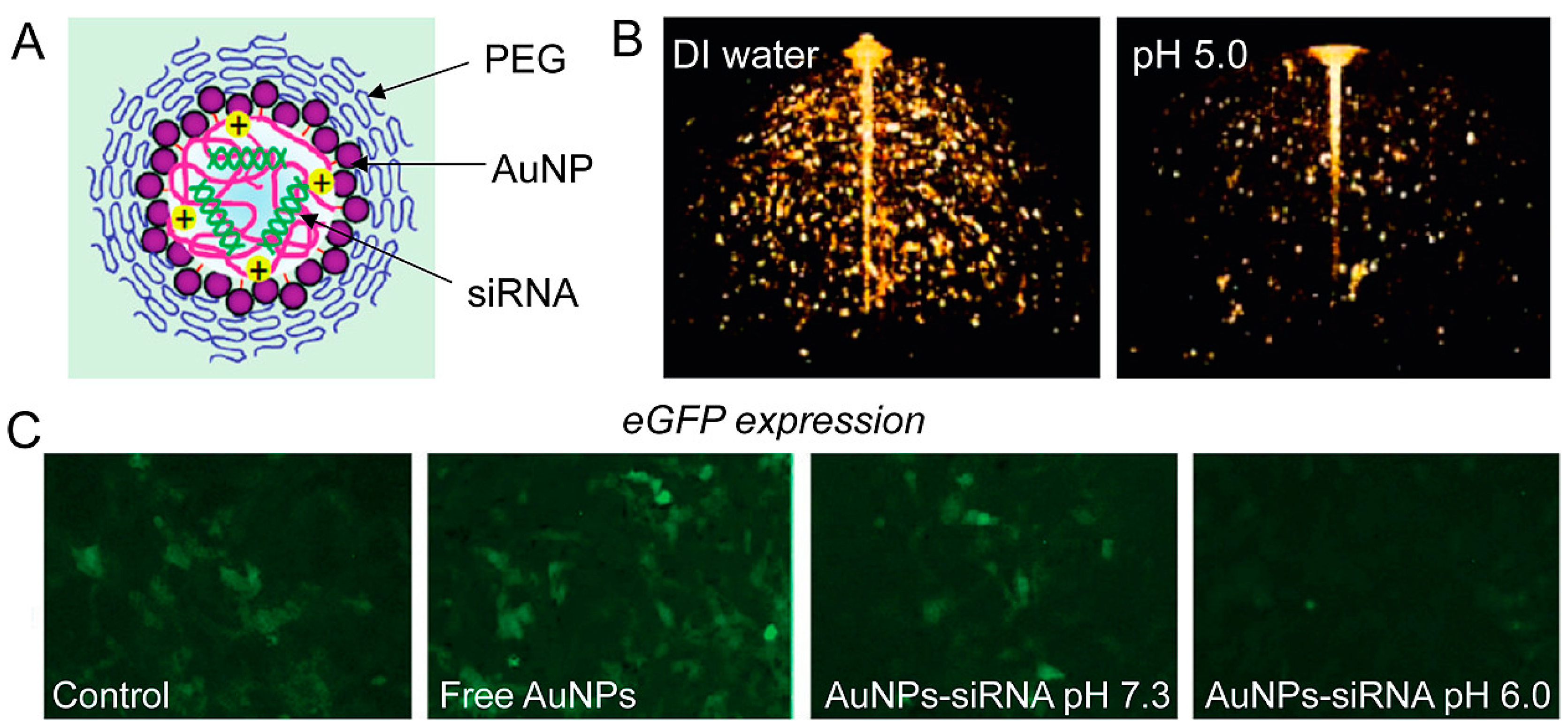 Cancers 14 05366 g006