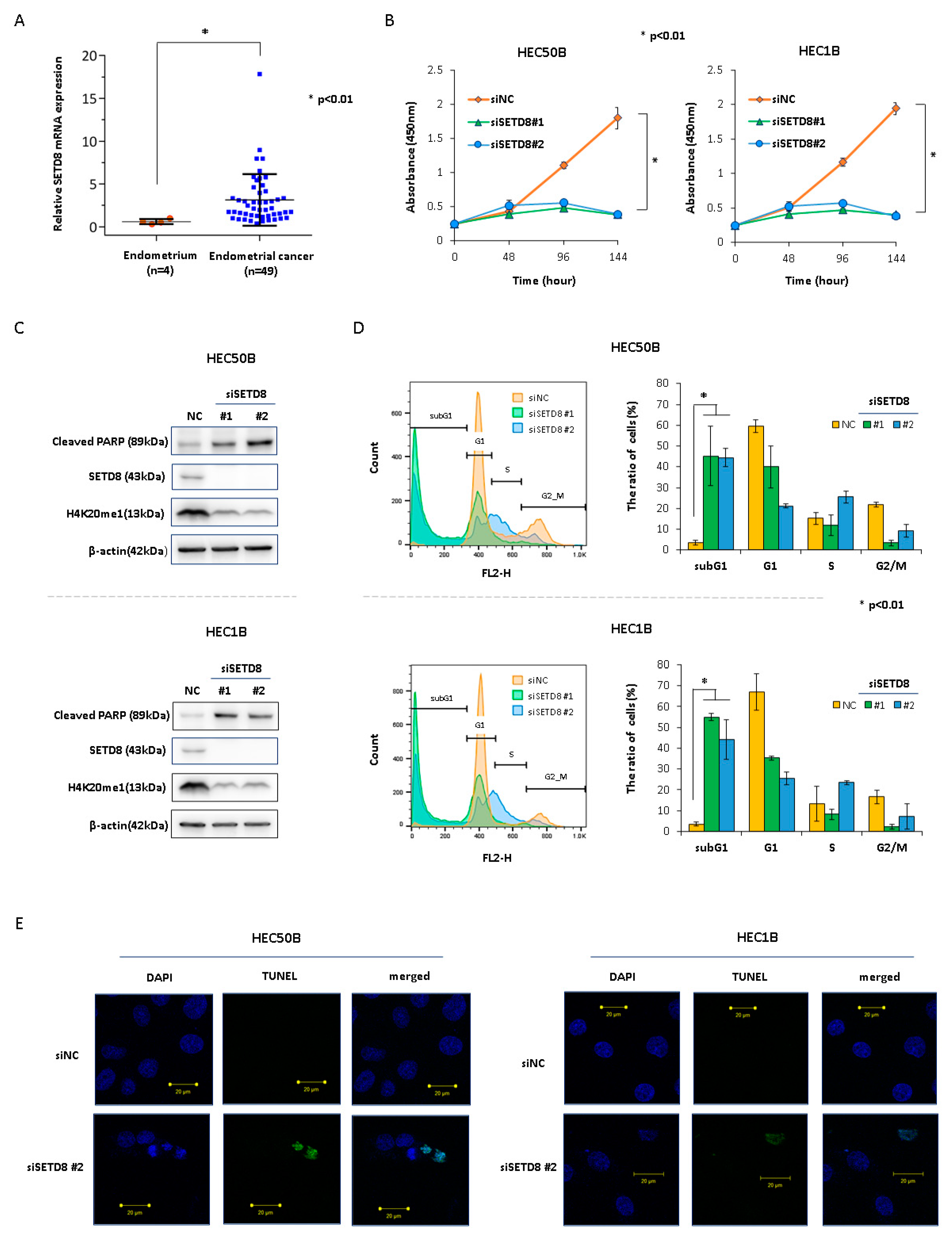 Cancers 14 05367 g001