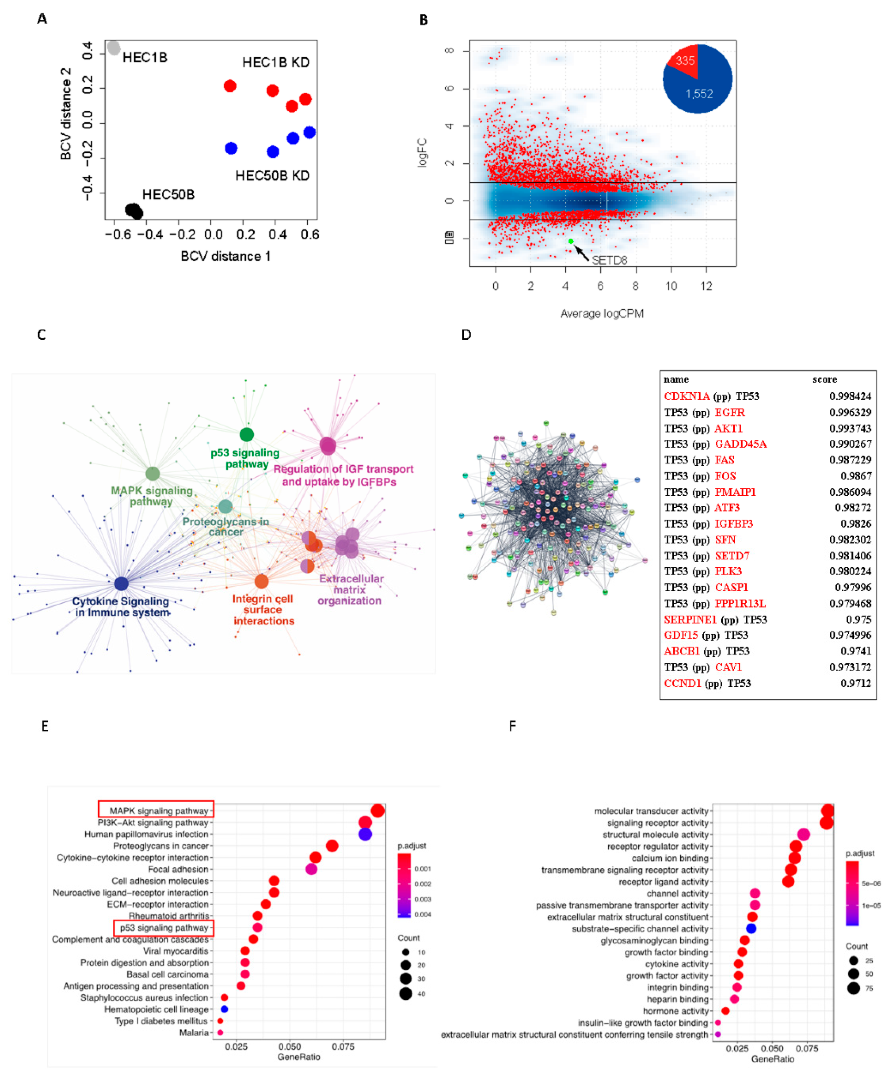 Cancers 14 05367 g003