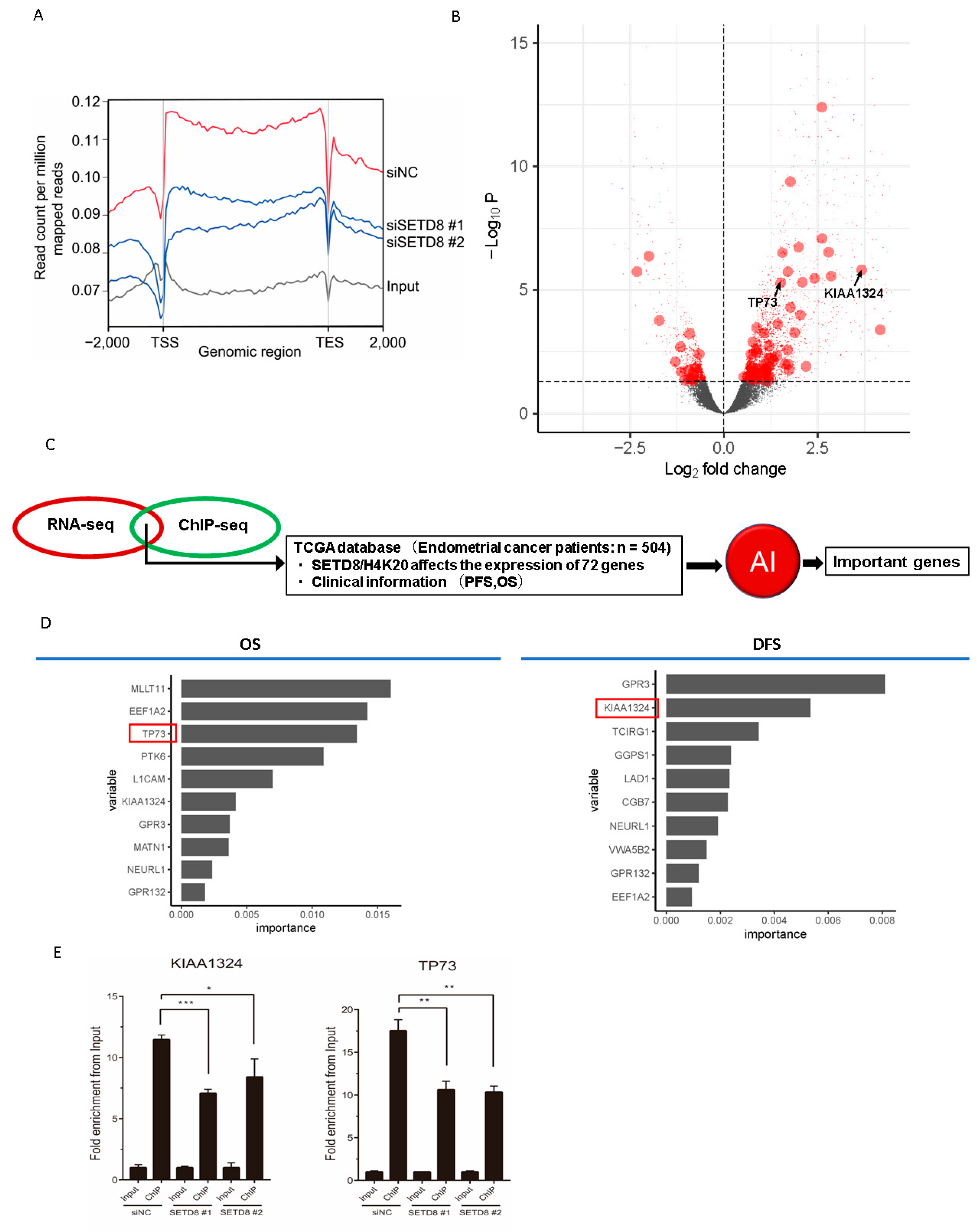 Cancers 14 05367 g005