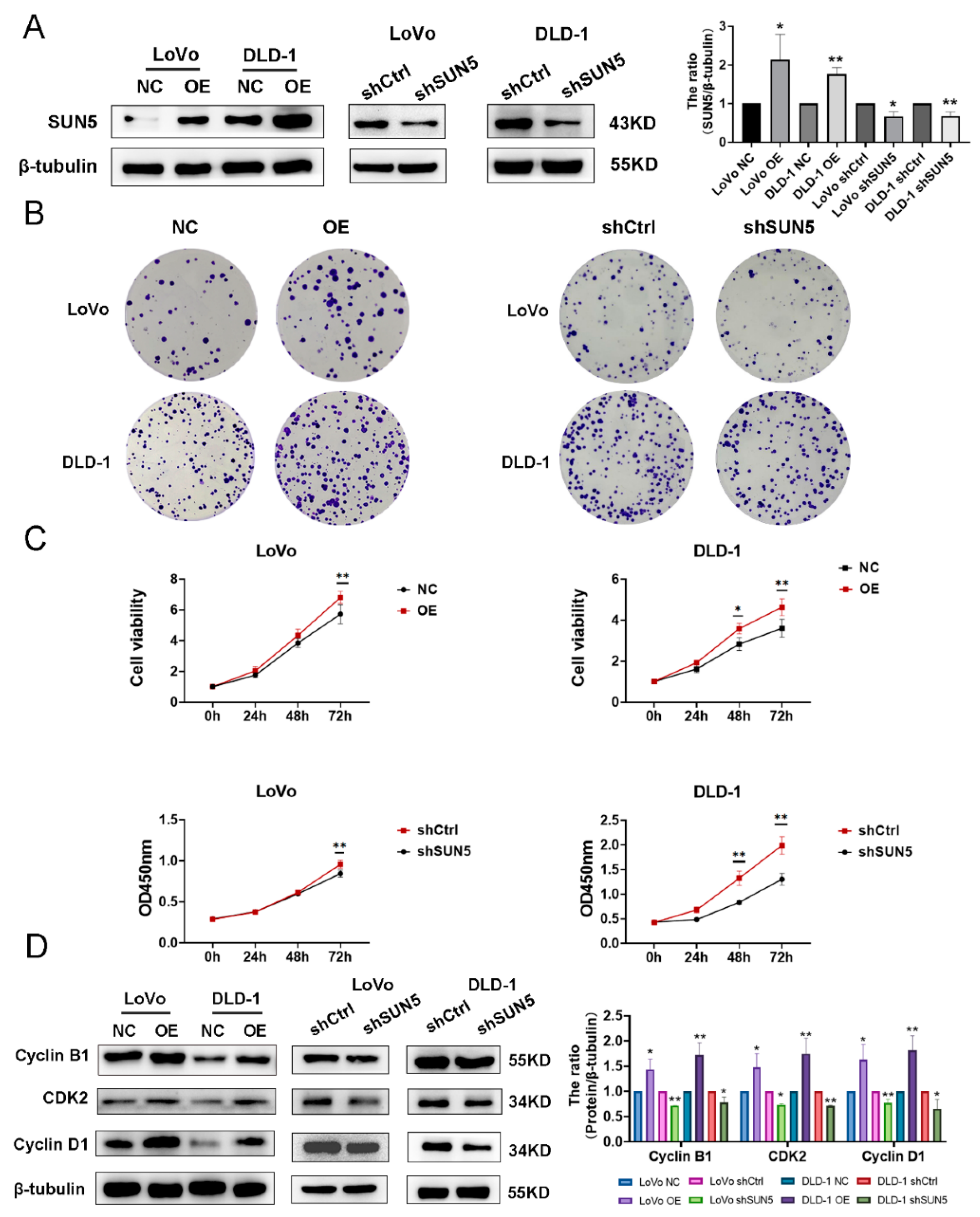 Cancers 14 05368 g002 Cancers 14 05368 g002