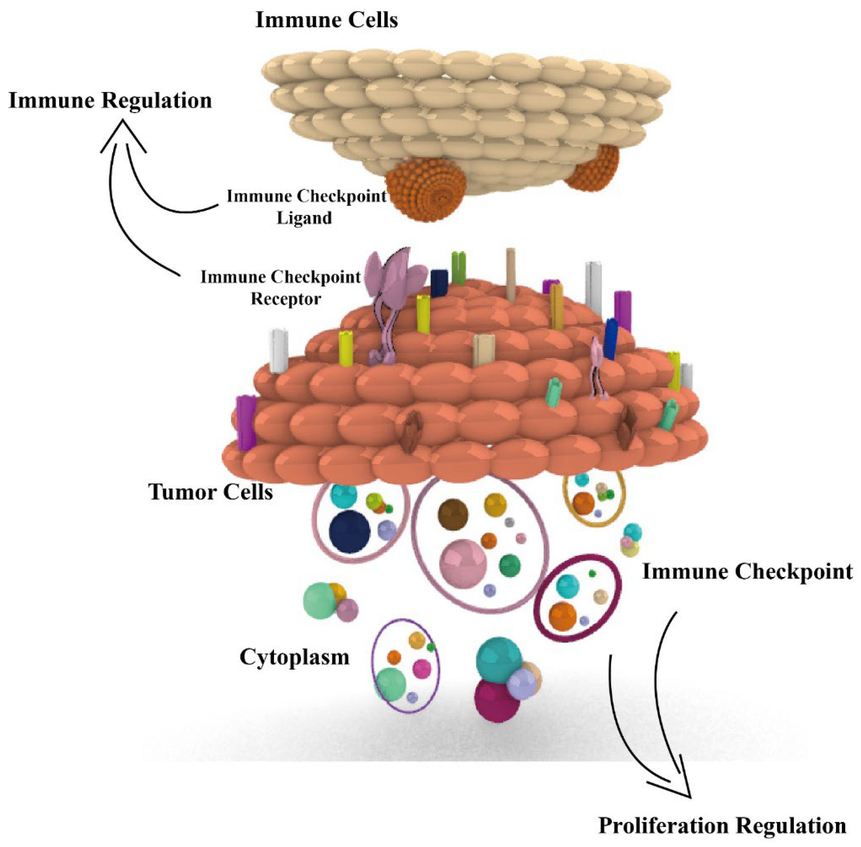 Cancers 14 05374 g001 Cancers 14 05374 g001