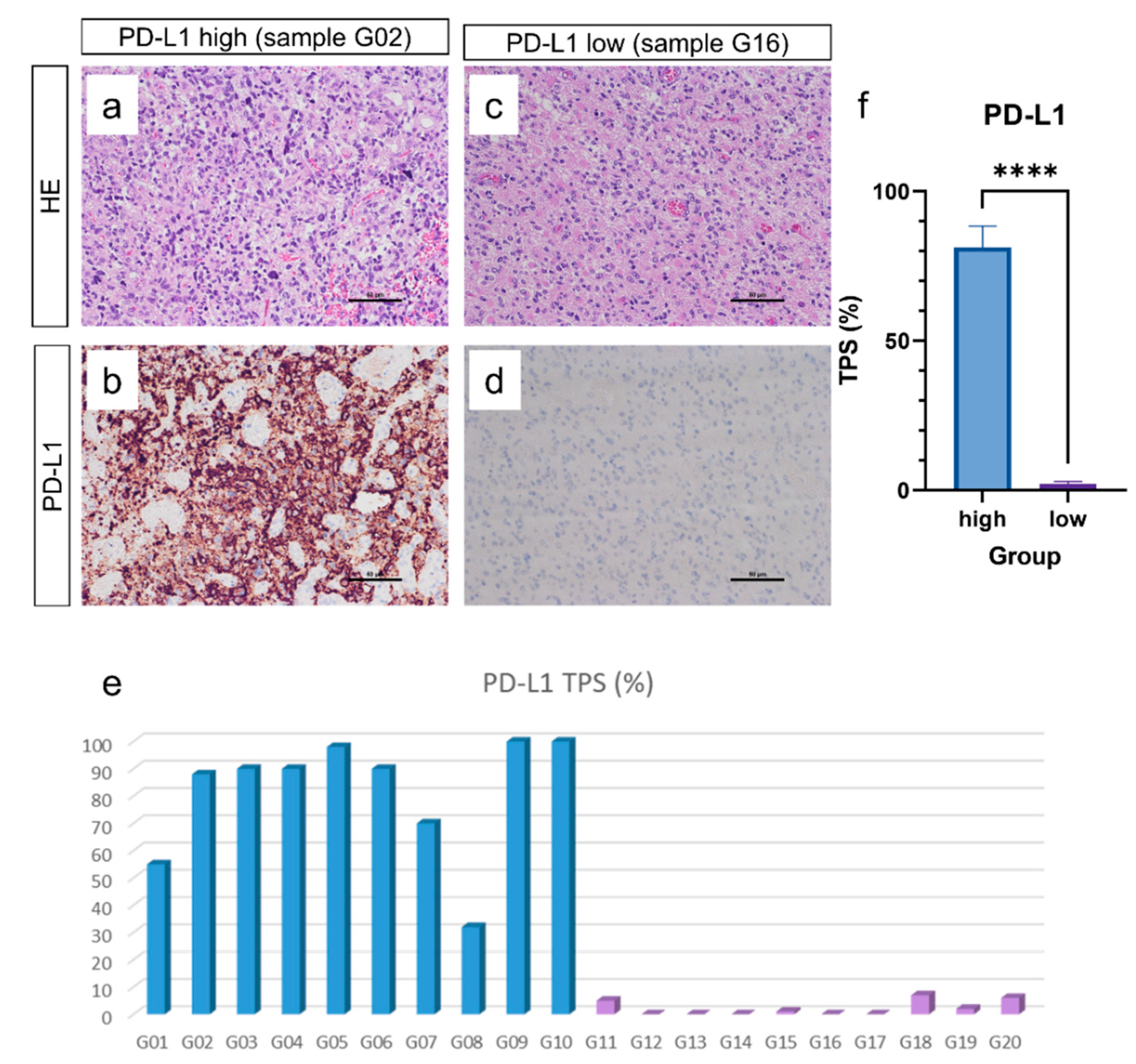 Cancers 14 05375 g001 Cancers 14 05375 g001