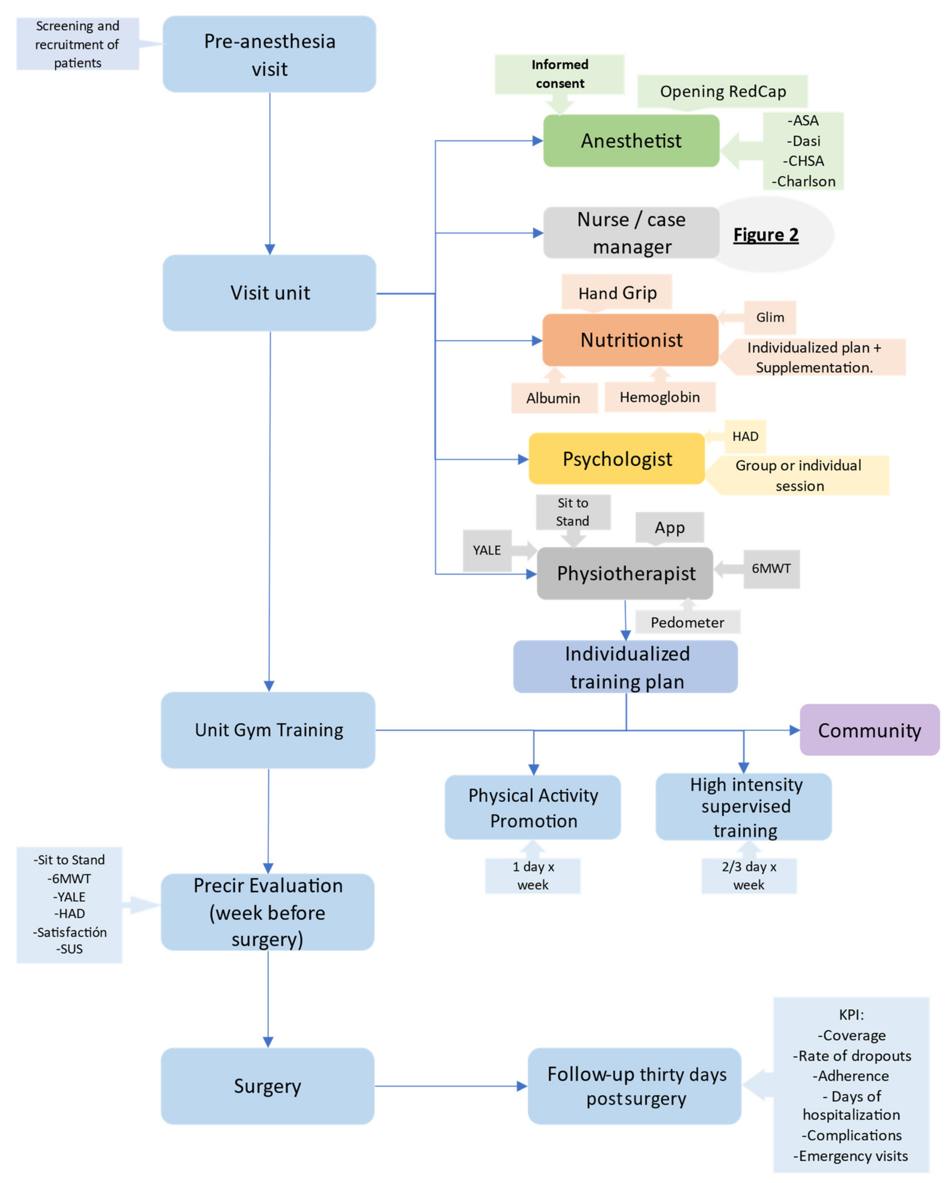 Cancers 14 05376 g001