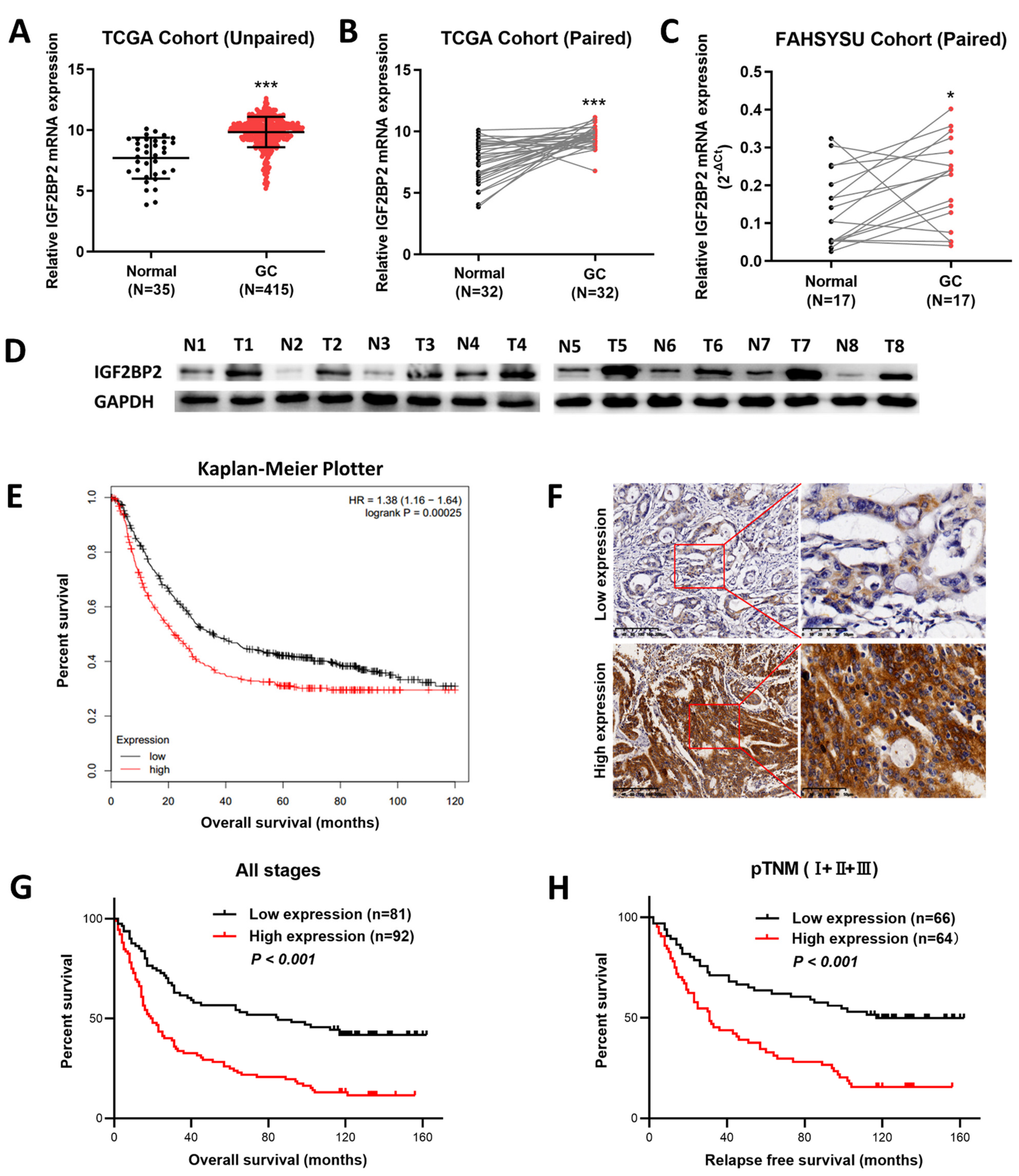 Cancers 14 05381 g001