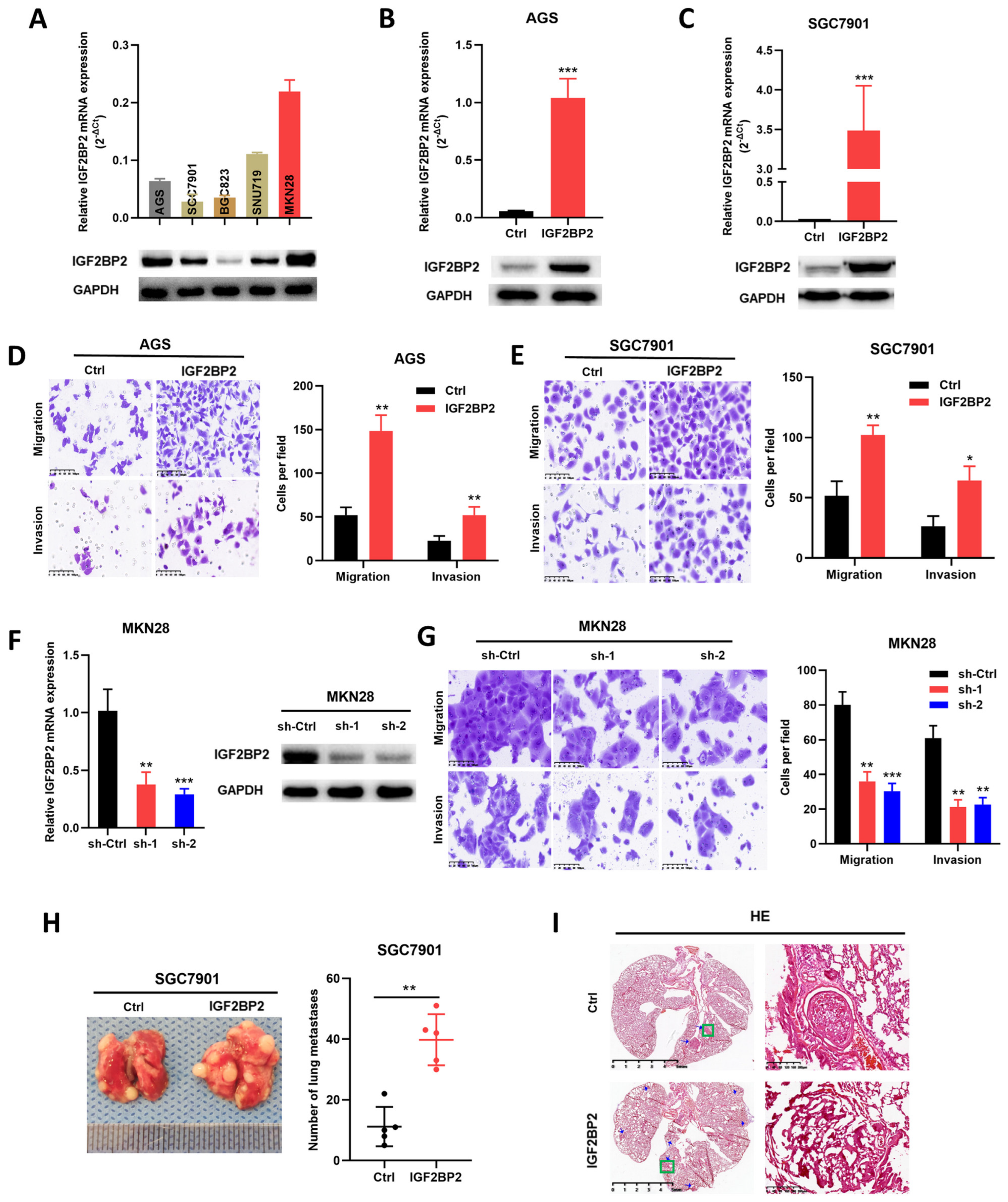Cancers 14 05381 g002