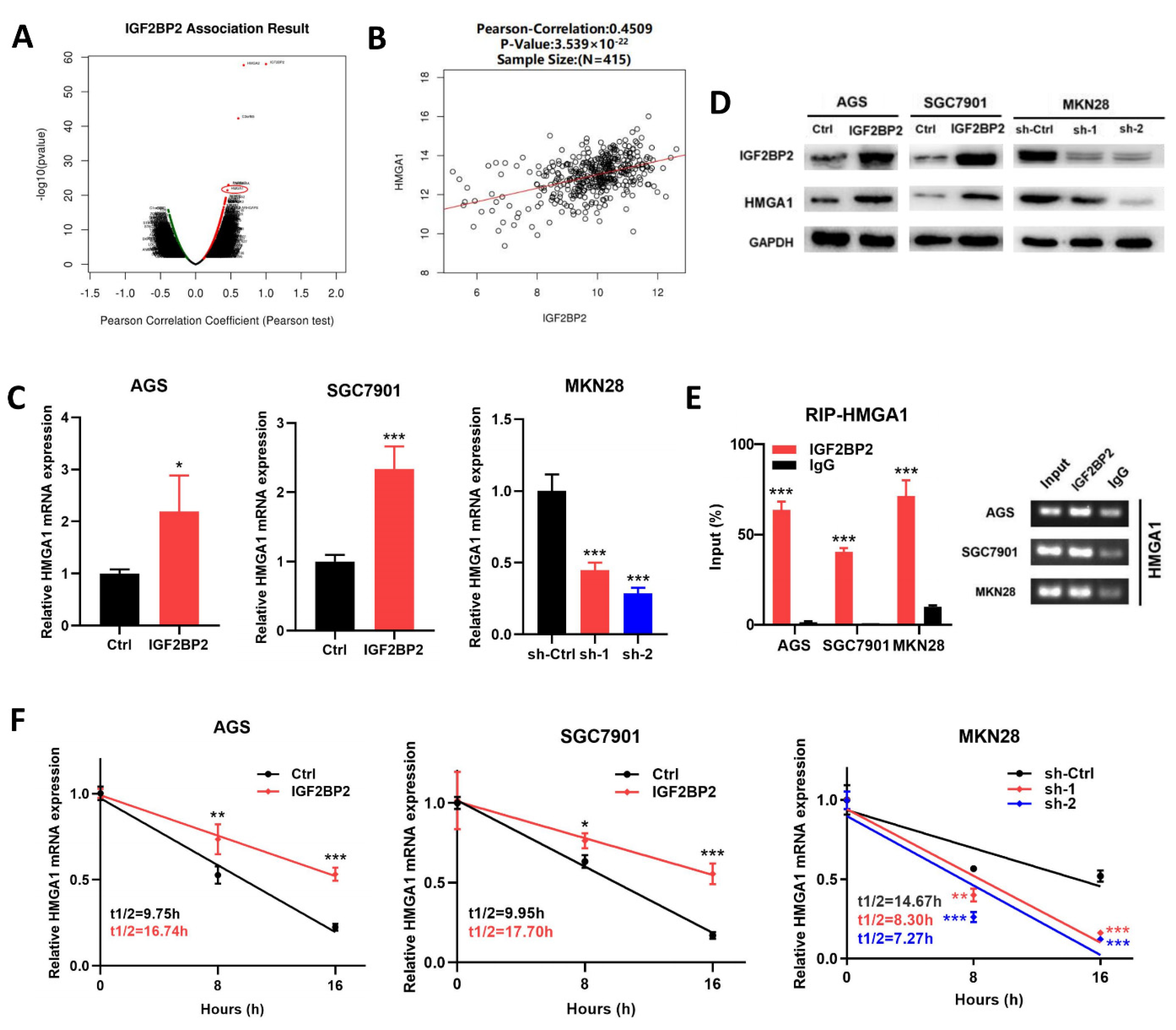 Cancers 14 05381 g003