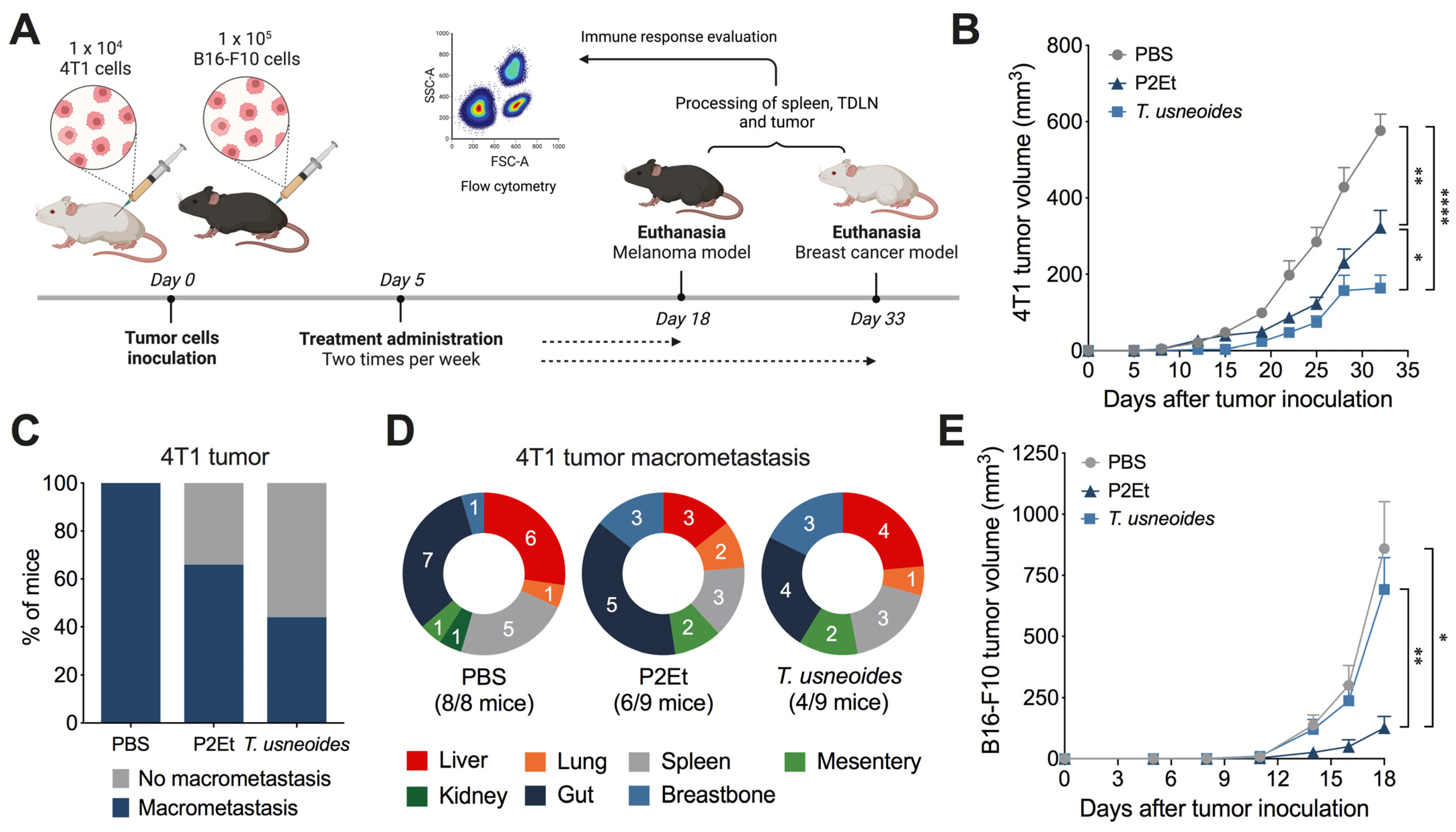 Cancers 14 05383 g003 Cancers 14 05383 g003