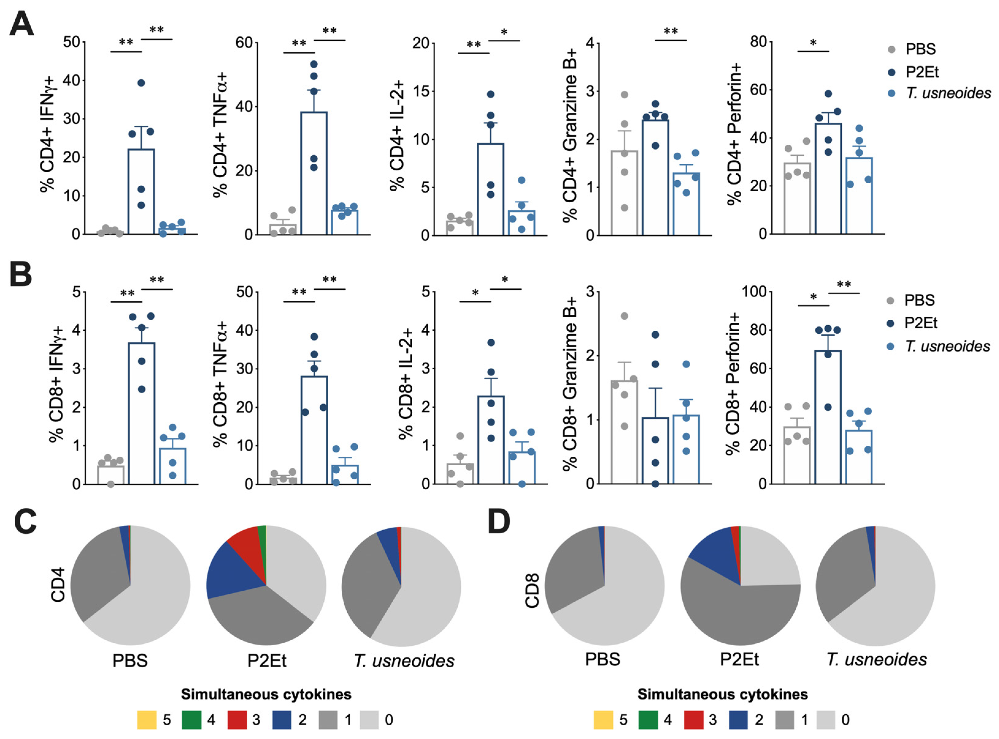 Cancers 14 05383 g007 Cancers 14 05383 g007