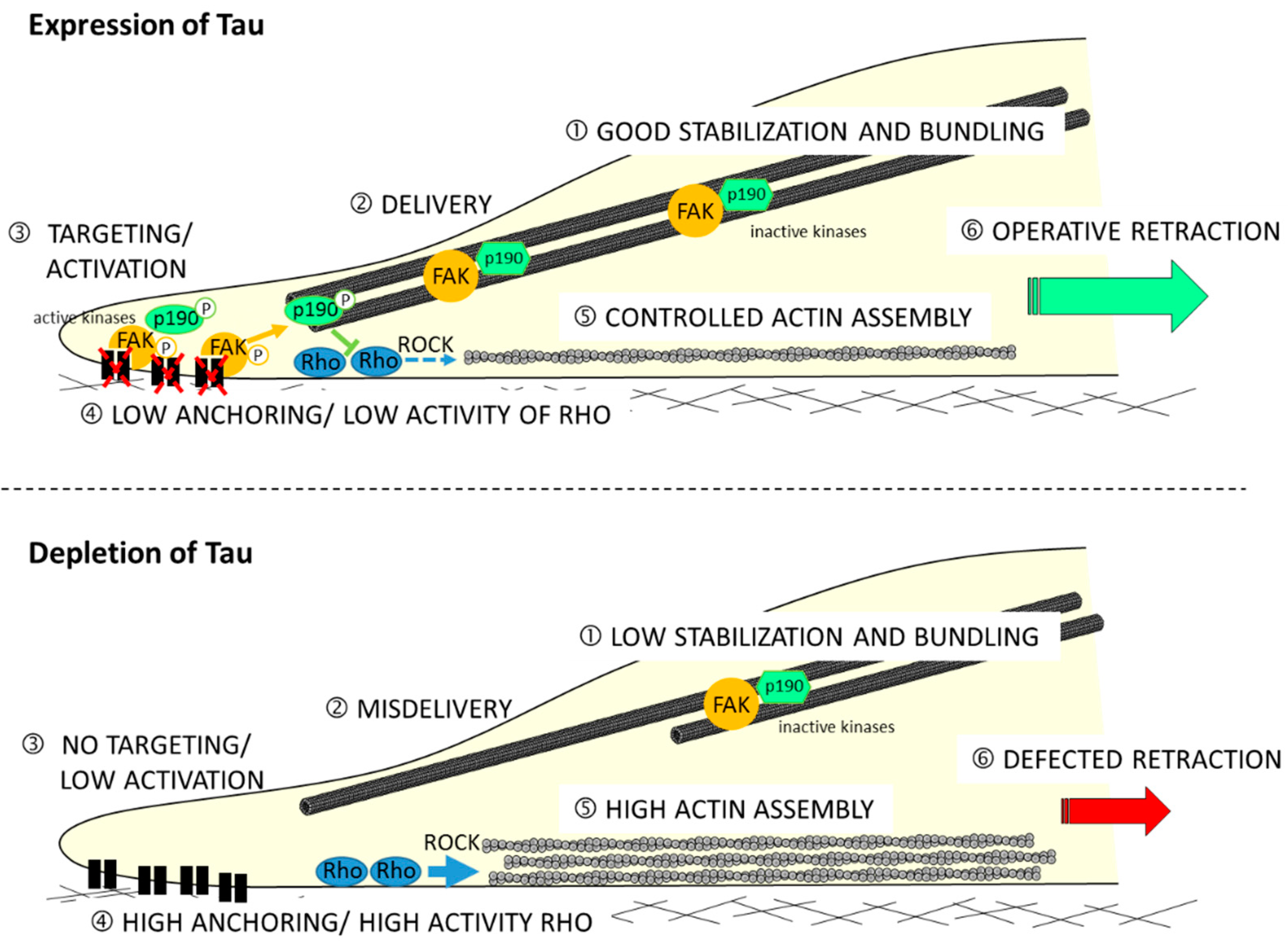Cancers 14 05386 g002 Cancers 14 05386 g002