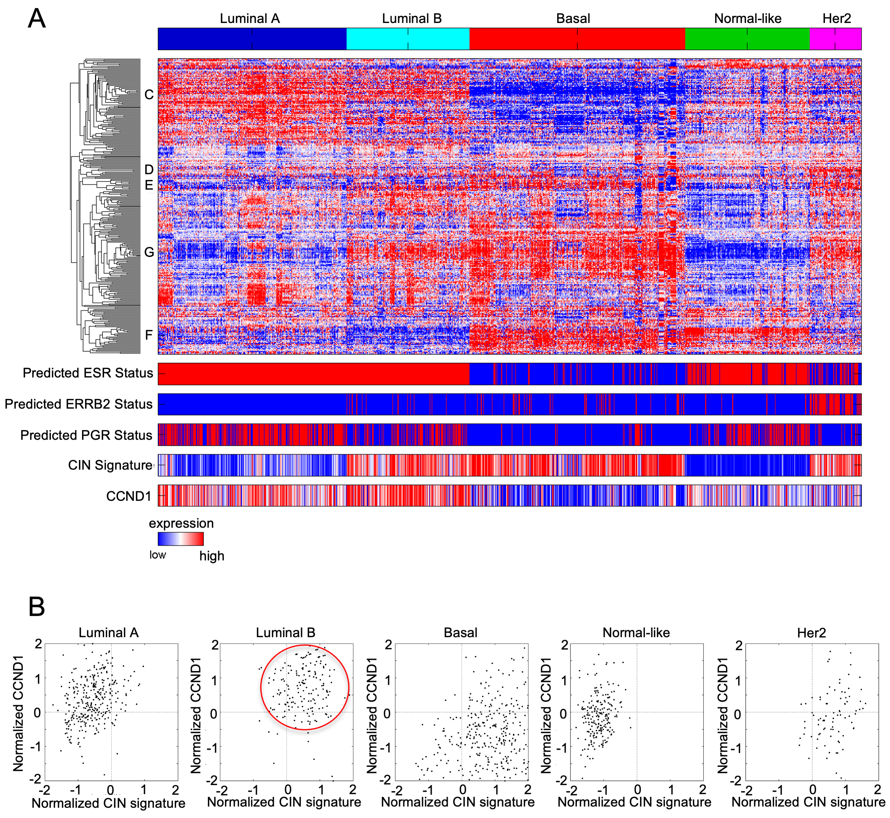 Cancers 14 05388 g003 Cancers 14 05388 g003