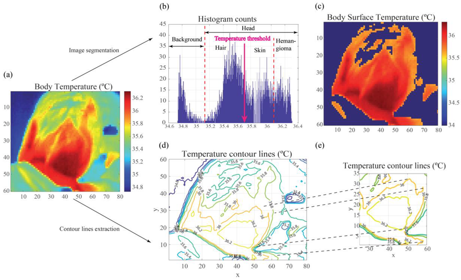Cancers 14 05392 g006 Cancers 14 05392 g006