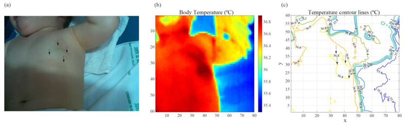 Cancers 14 05392 g007 Cancers 14 05392 g007