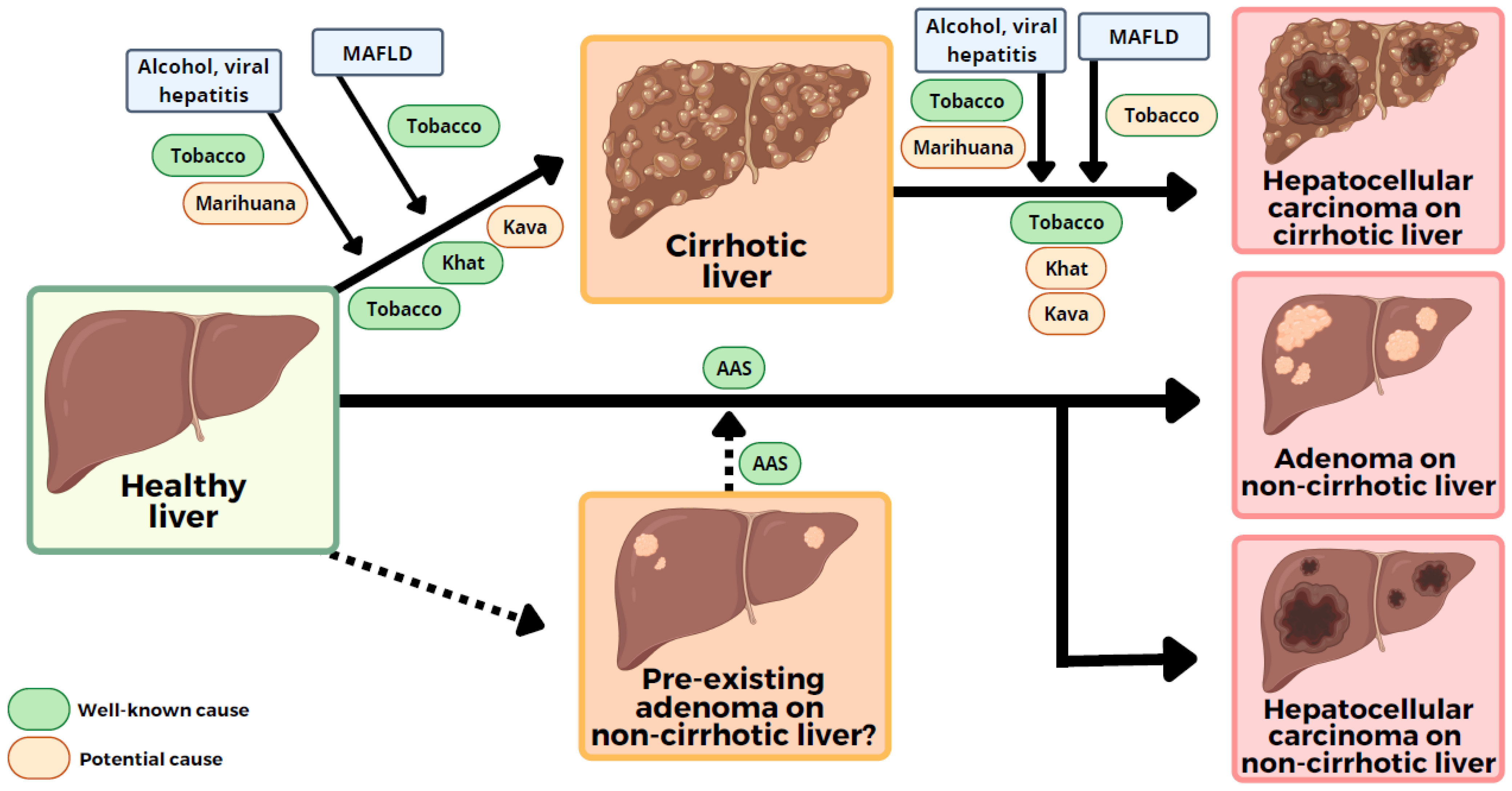 Cancers 14 05395 g001