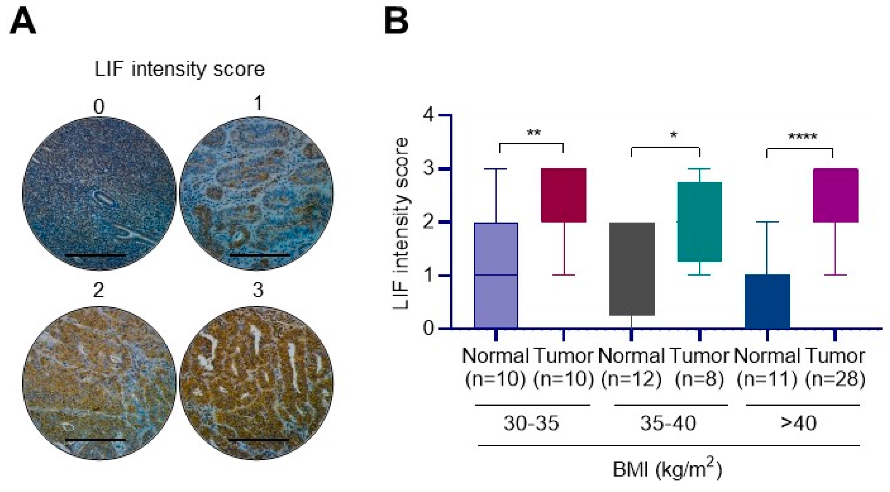Cancers 14 05400 g002 Cancers 14 05400 g002