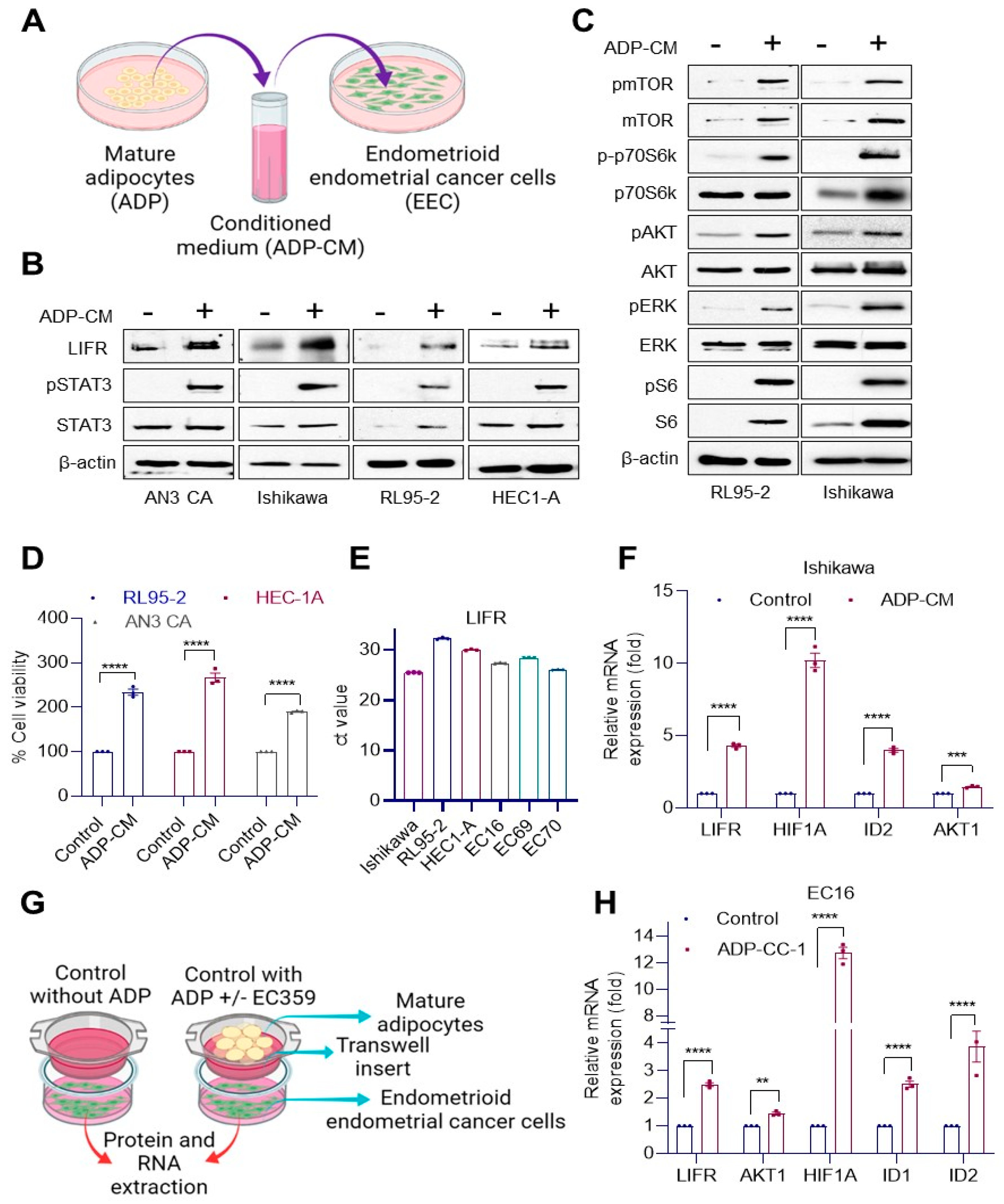 Cancers 14 05400 g003 Cancers 14 05400 g003