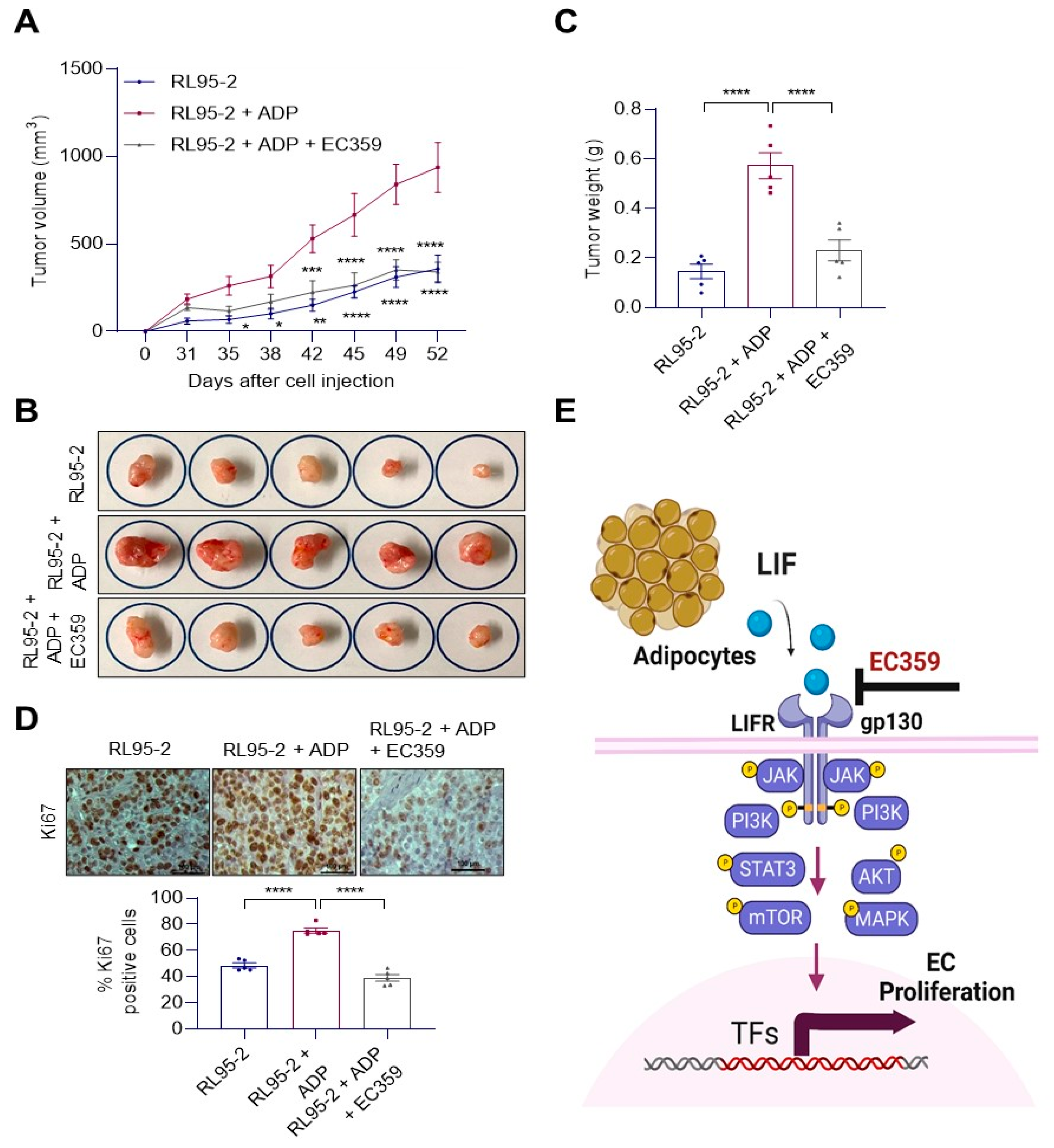 Cancers 14 05400 g006 Cancers 14 05400 g006