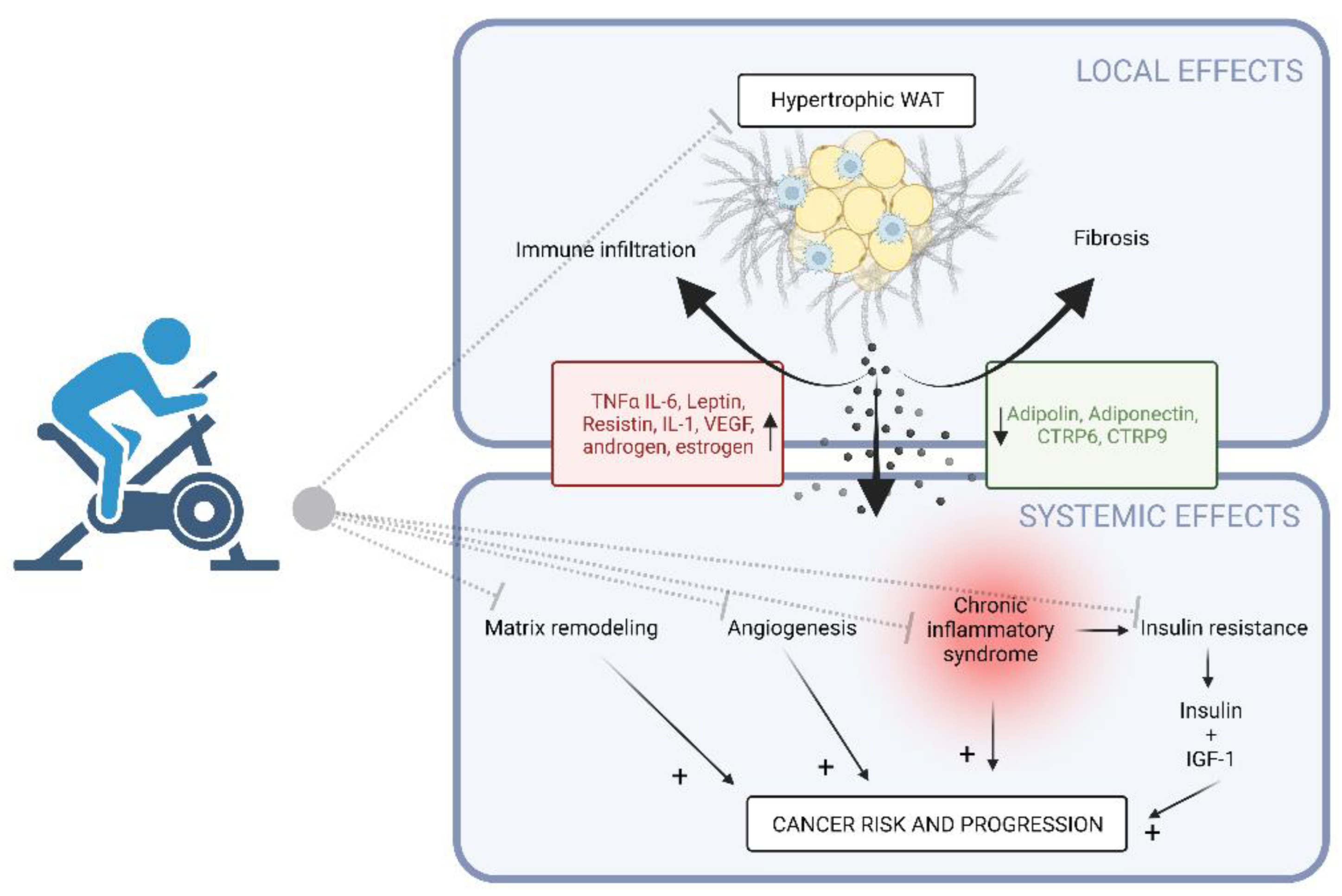 Cancers 14 05402 g001