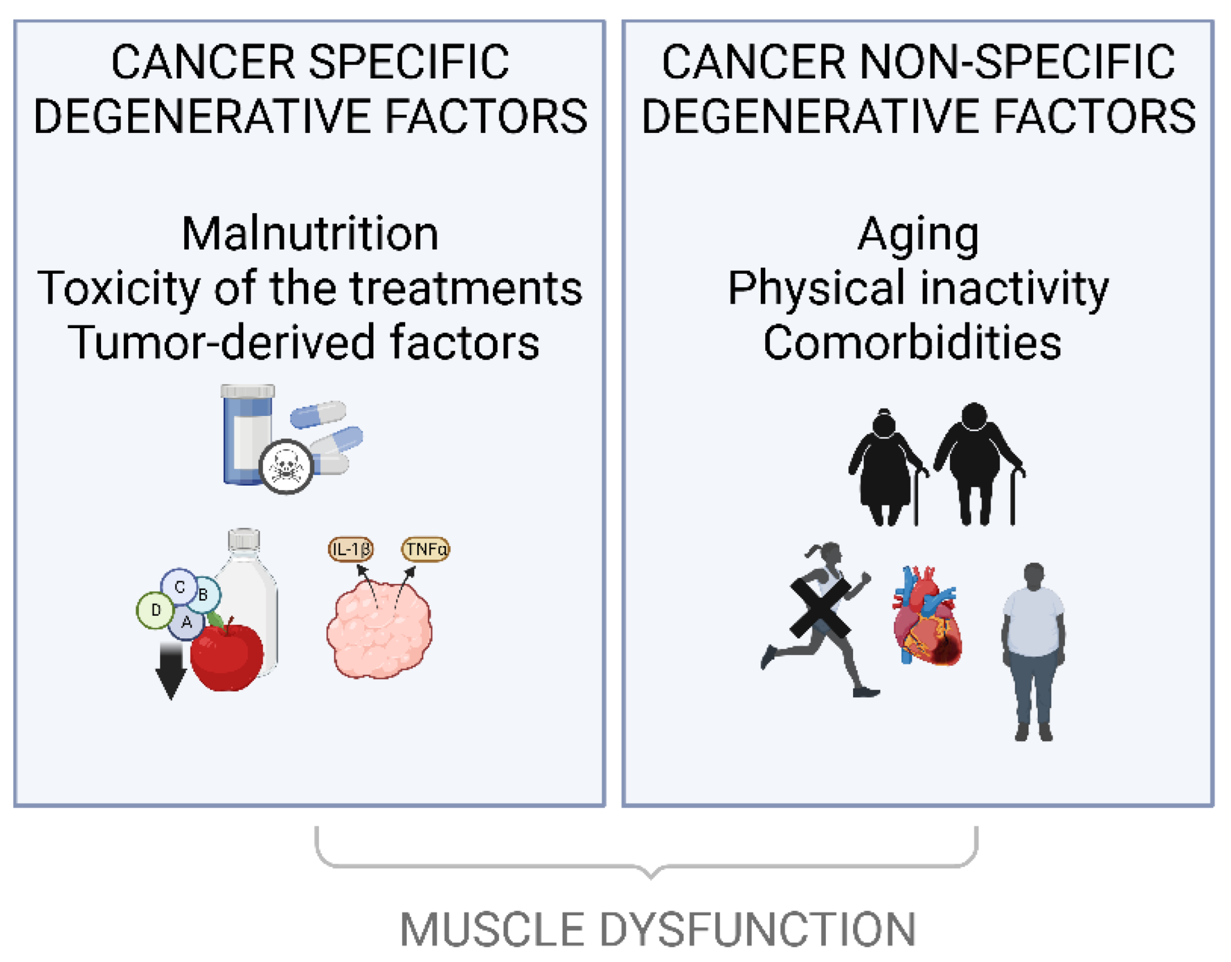 Cancers 14 05402 g002