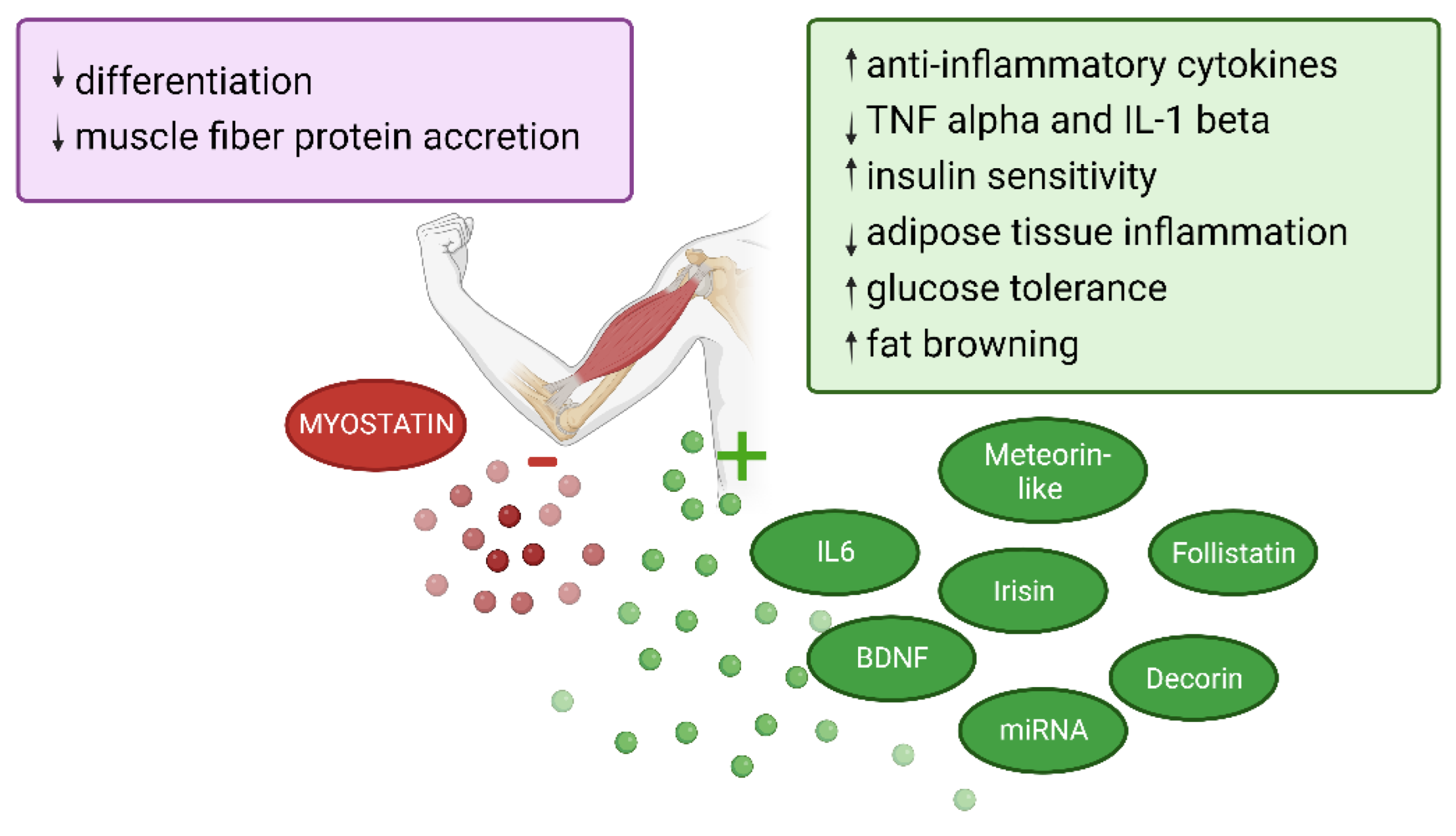 Cancers 14 05402 g004