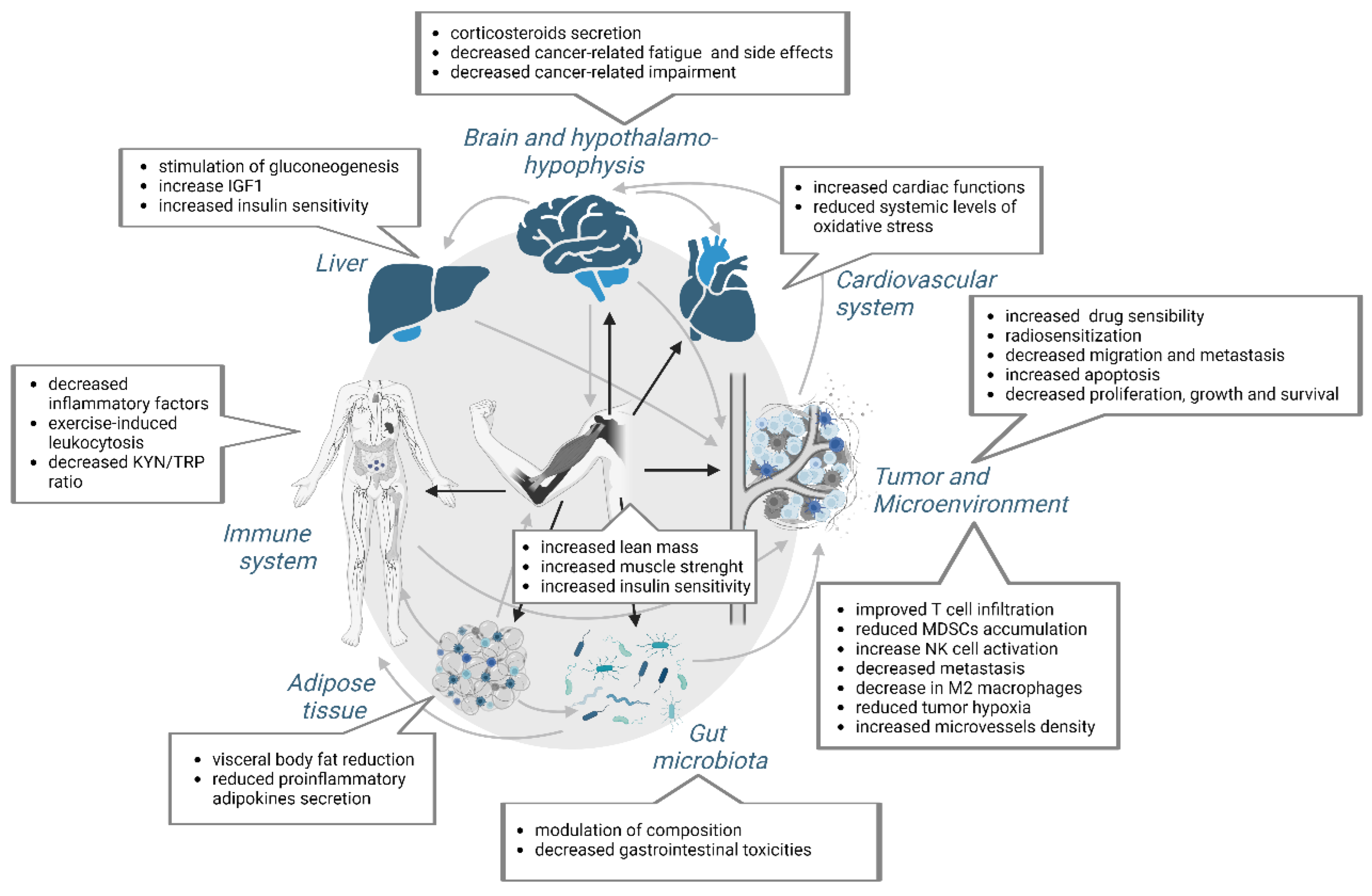 Cancers 14 05402 g005