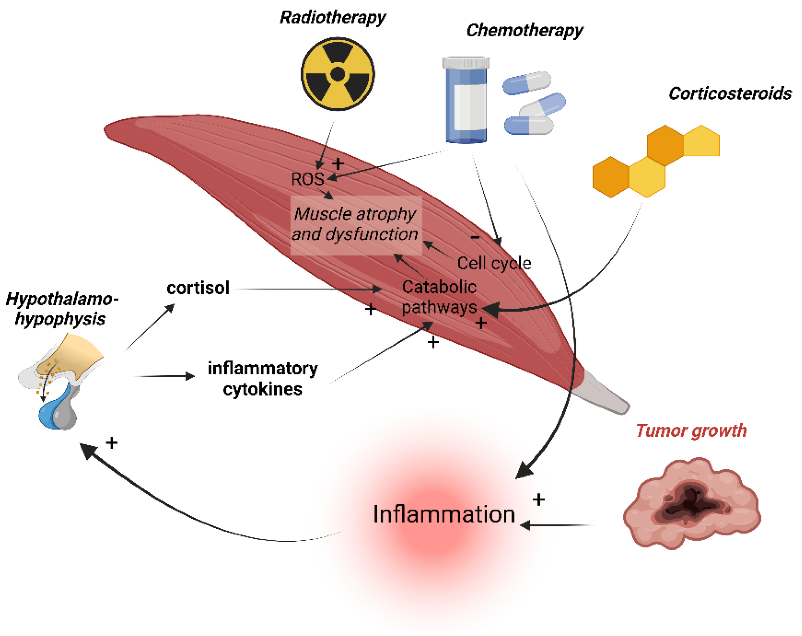 Cancers 14 05402 g006