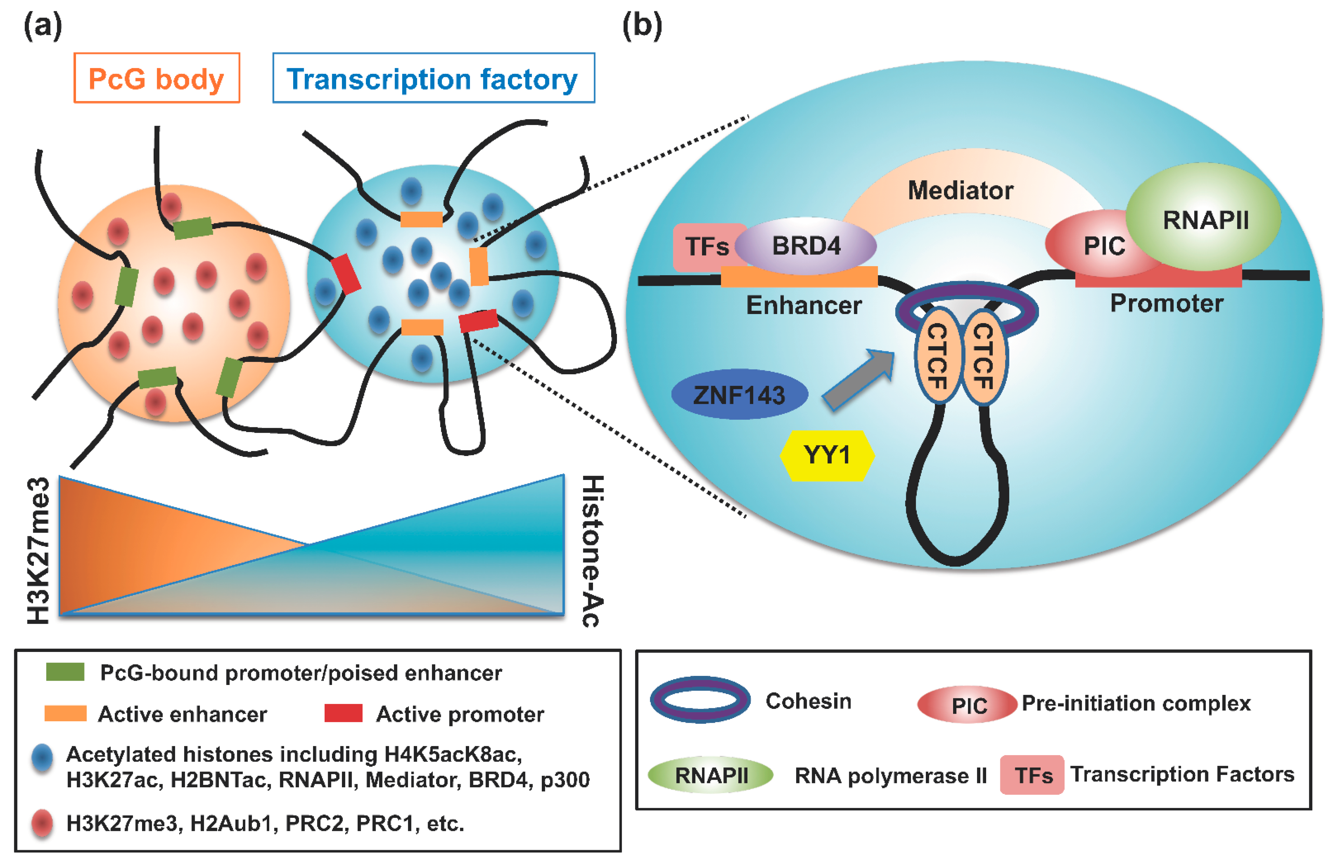 Cancers 14 05404 g002 Cancers 14 05404 g002